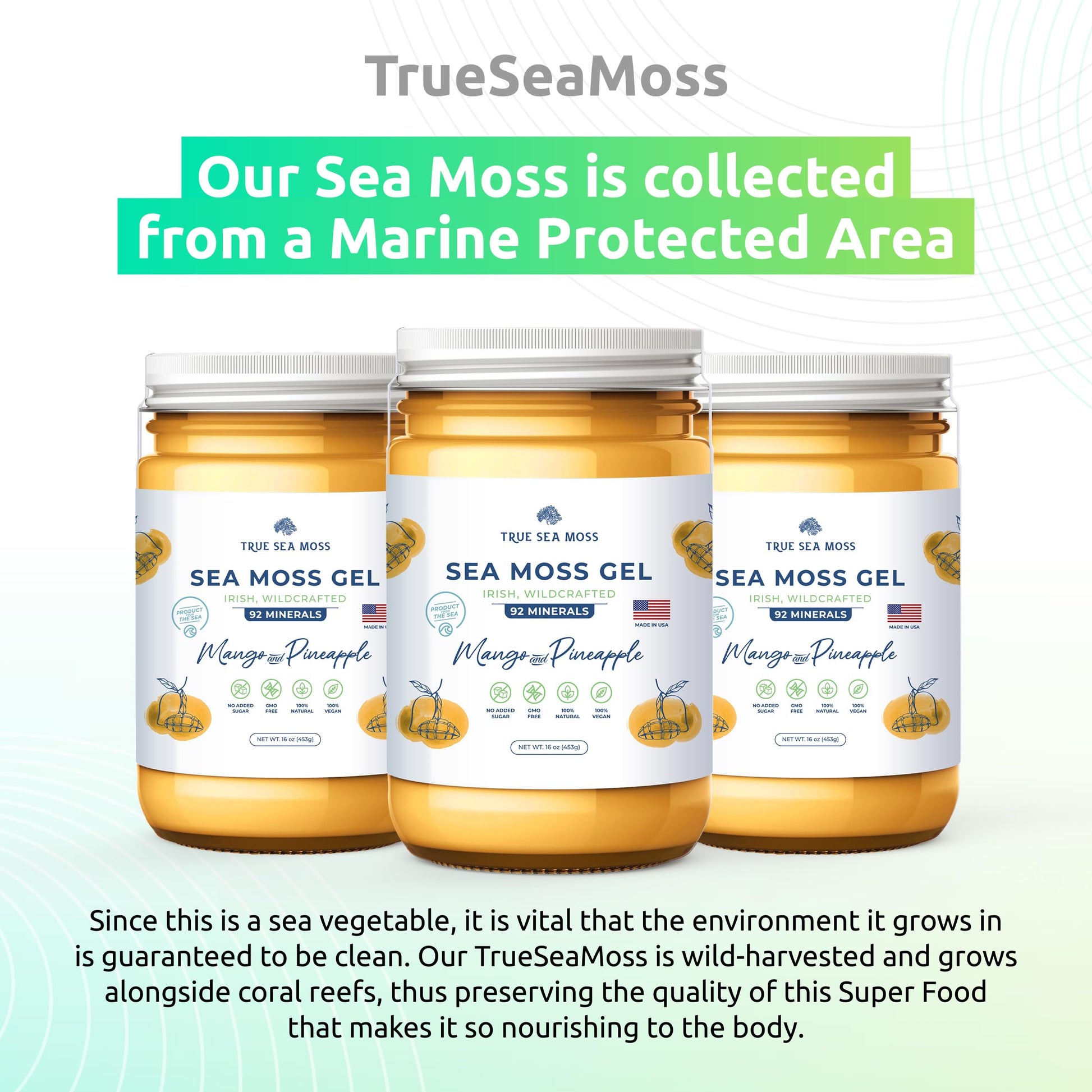 TrueSeaMoss Wildcrafted Irish Sea Moss Gel – Nutritious Organic Raw Seamoss Rich TrueSeaMoss Au supplements