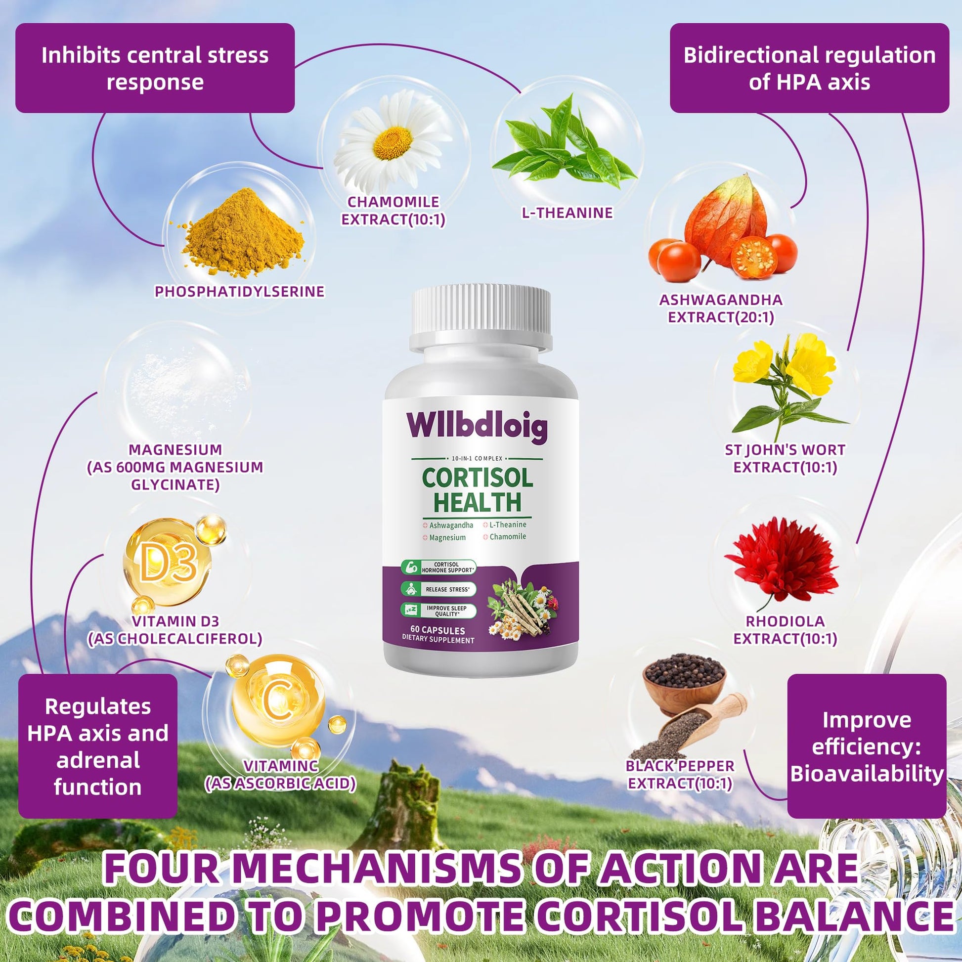 Cortisol Supplements for Women Men, High Cortisol Reducer Health, Detox Cortisol Manager for Stress Relief ,Mood and Sleep with Ashwagandha, L-Theanine, Lower and Control - Non-GMO,Vegan 60 Capsules Wllbdloig Au supplements