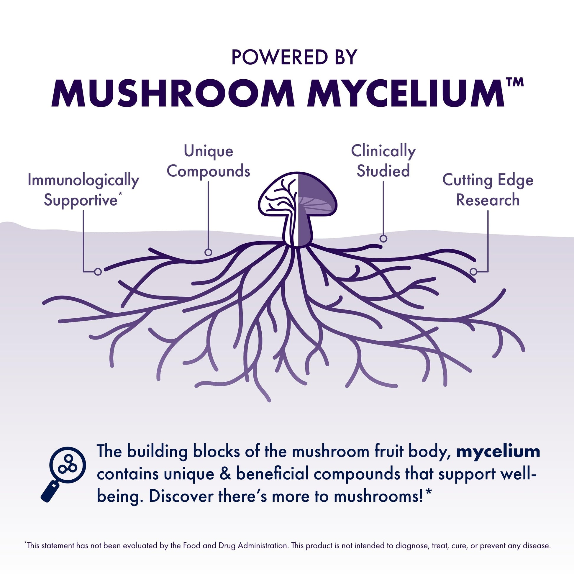 Host Defense MycoBotanicals Brain* Capsules - Brain Support Supplement with Lion's Mane, Reishi & Cordyceps Mushroom - Herbal Supplement for Memory & Focus Support - 60 Capsules Host Defense Au supplements
