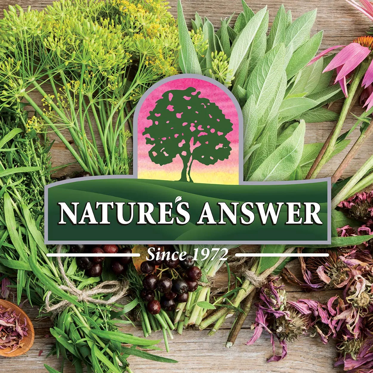 Nature's Answer Women's 100, Multivitamin, 60 Vegetarian Capsules Nature's Answer Au supplements