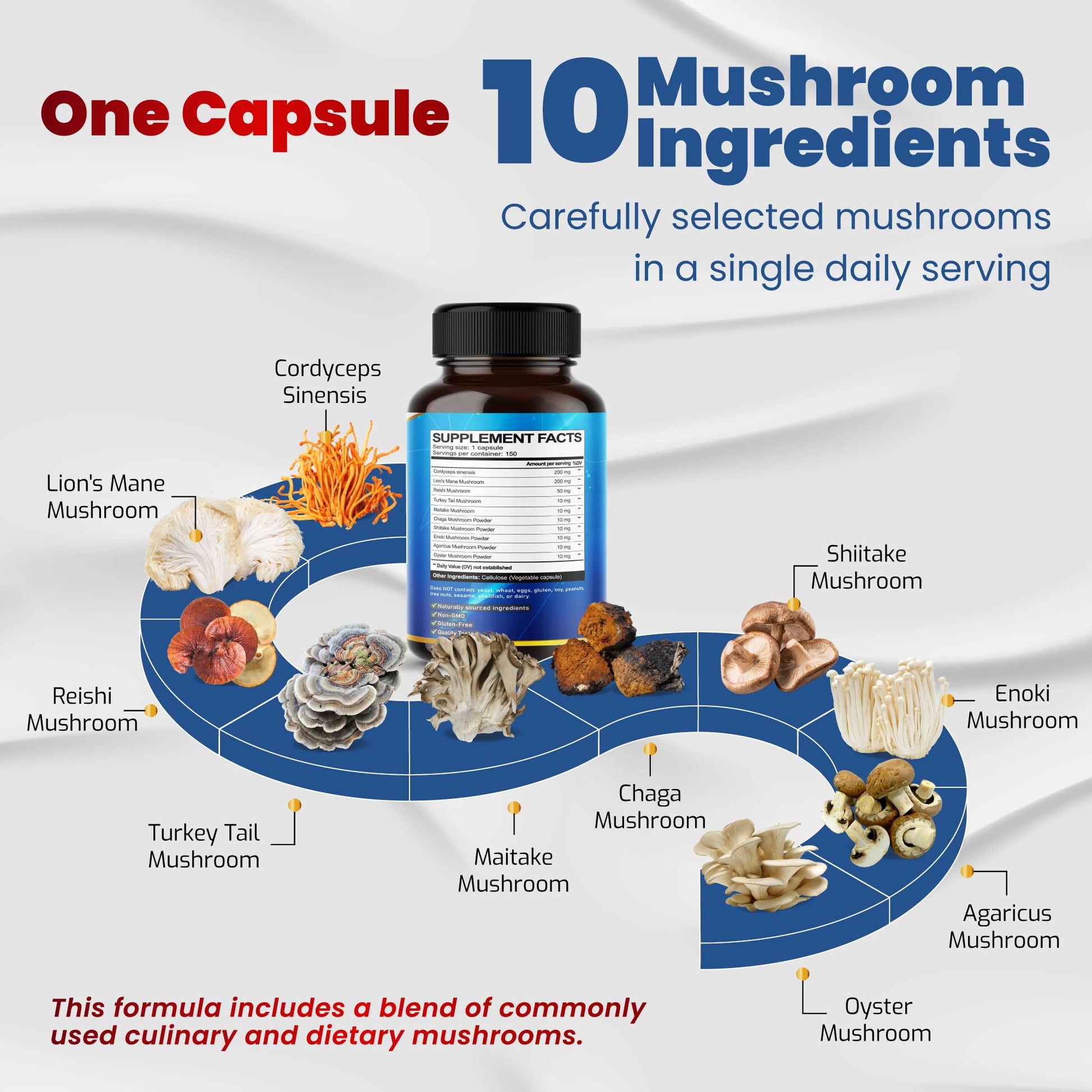 10 in 1 High Strength Mushroom Supplement - Lions Mane, Cordyceps, Reishi - Brain Supplements for Memory and Focus ** 5-Month Supply VEGATOT Au supplements
