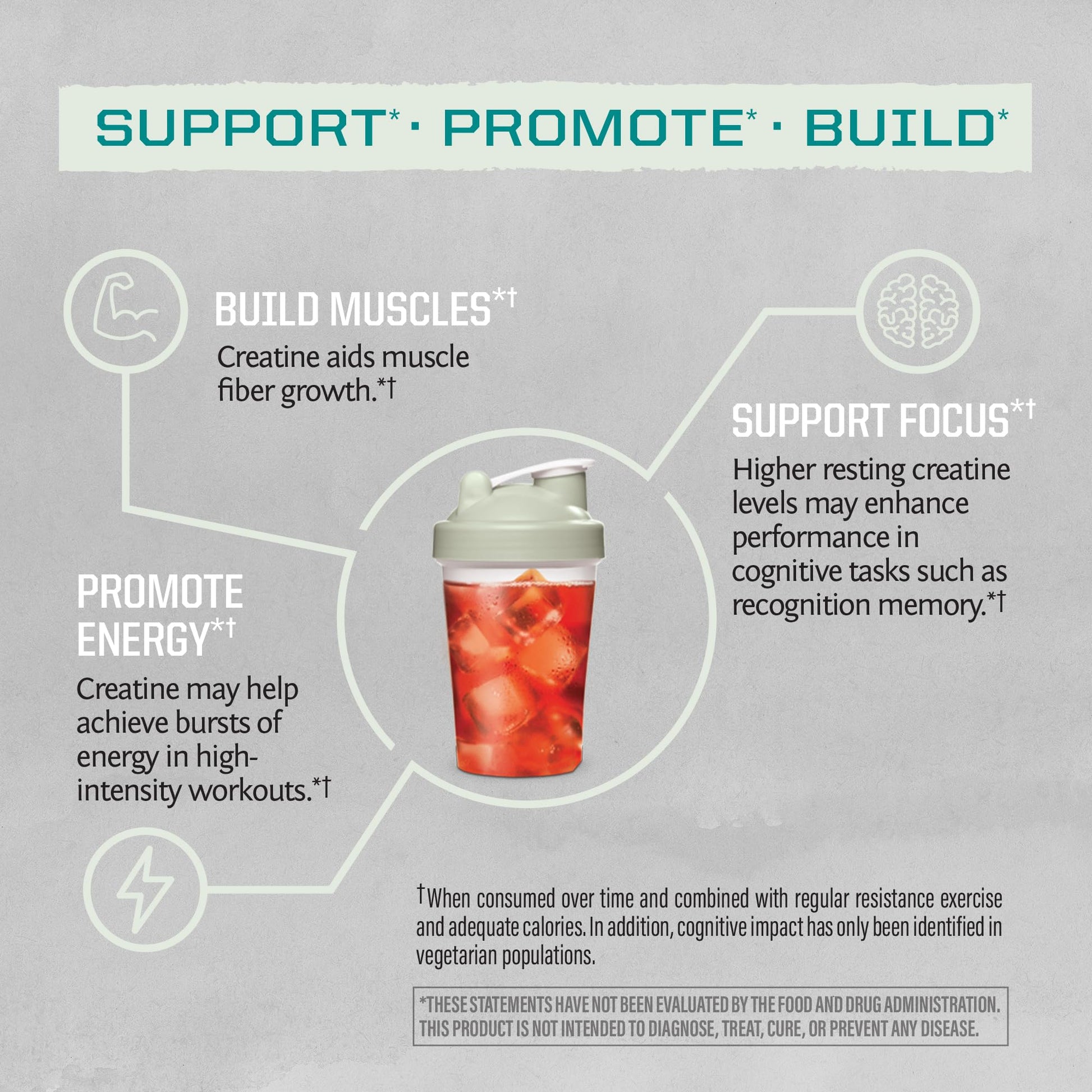 Creatine Monohydrate Powder Micronized PreWorkout Recovery Supplement | Support Muscle Building Strength Training Cognition | Vegan & Keto Friendly Easily Mixes (60 Serving) Unflavored Active Creatine Sunwarrior Au supplements