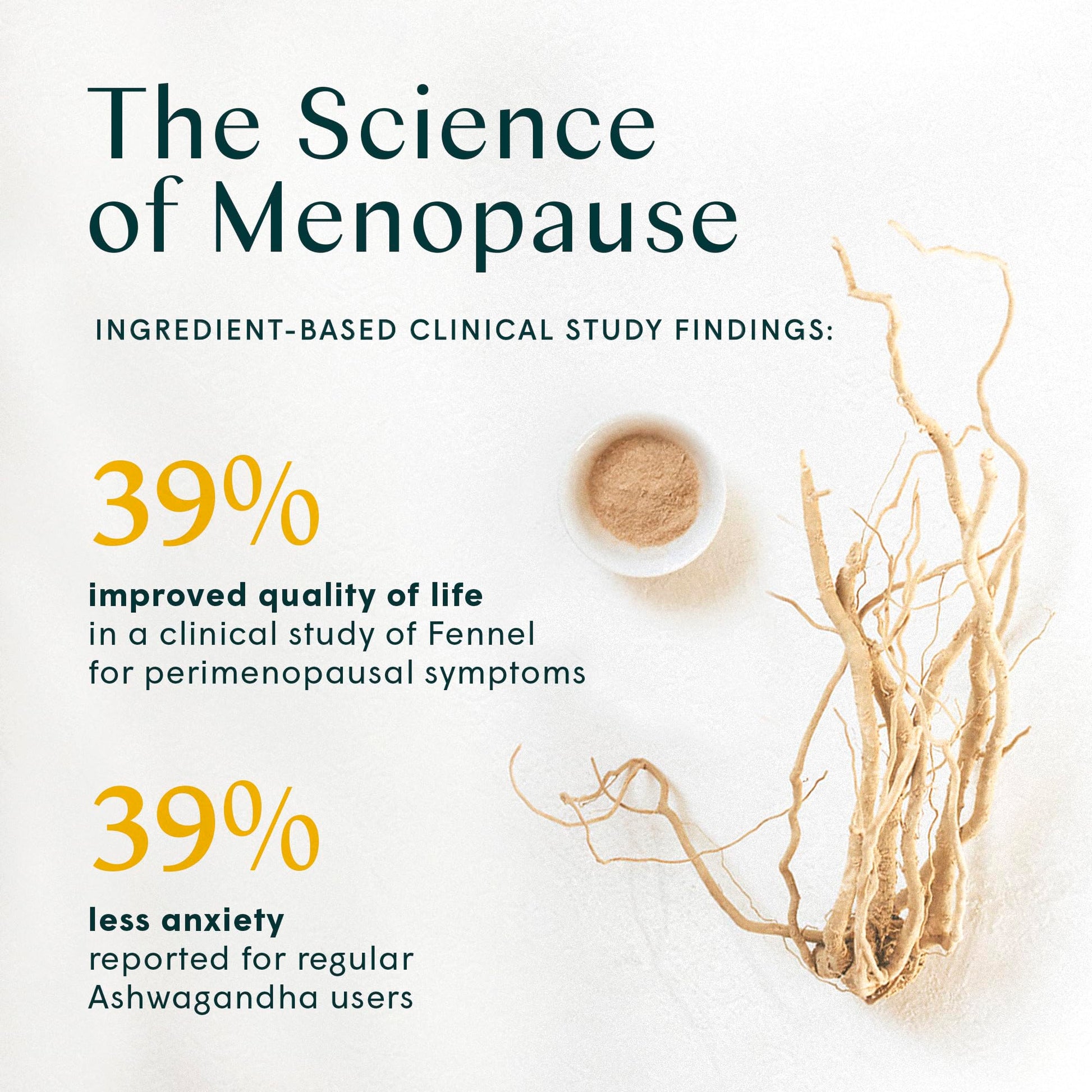 Wile Perimenopause Supplement for Women with Ashwagandha, Kudzu Root, Hops Extract WILE Au supplements