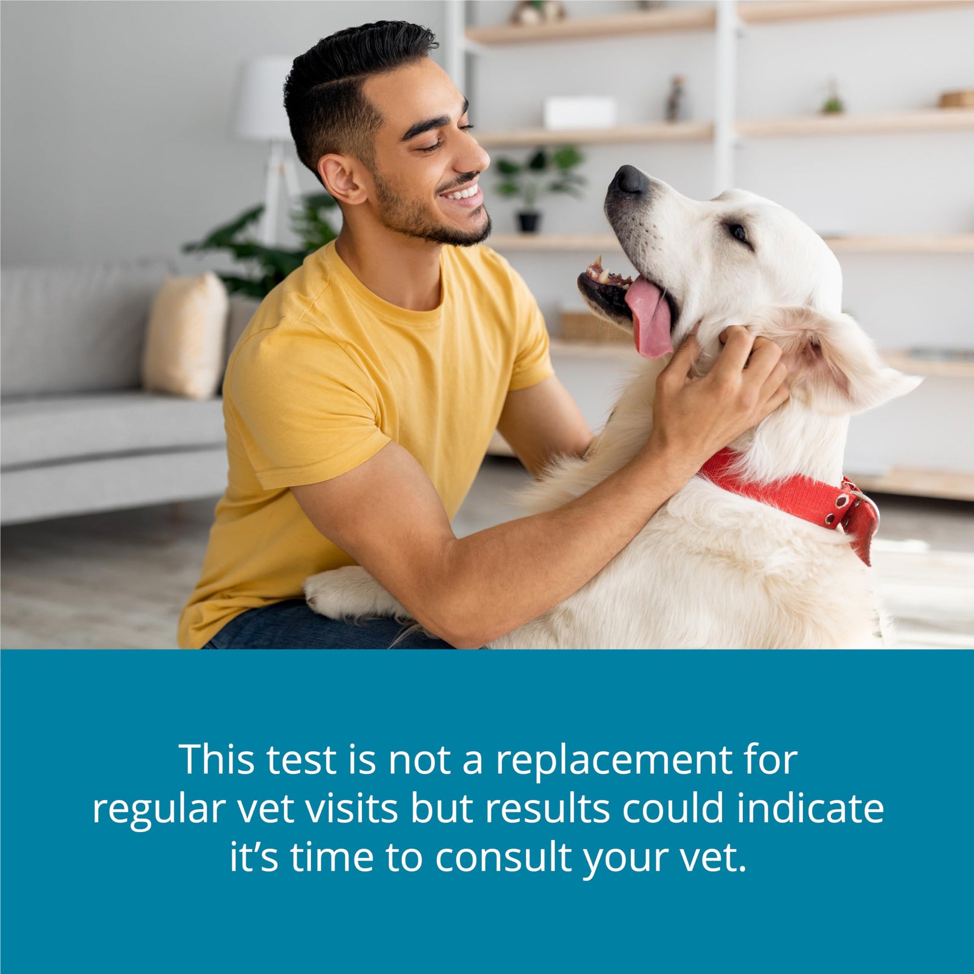 Petivity At-Home Oral Health Test for Cats & Dogs — 10-Second Dental Check Kit by Purina — Simple Saliva Swab to Detect Bad Breath & Gum Issues - (Pack of 1) petivity Au supplements