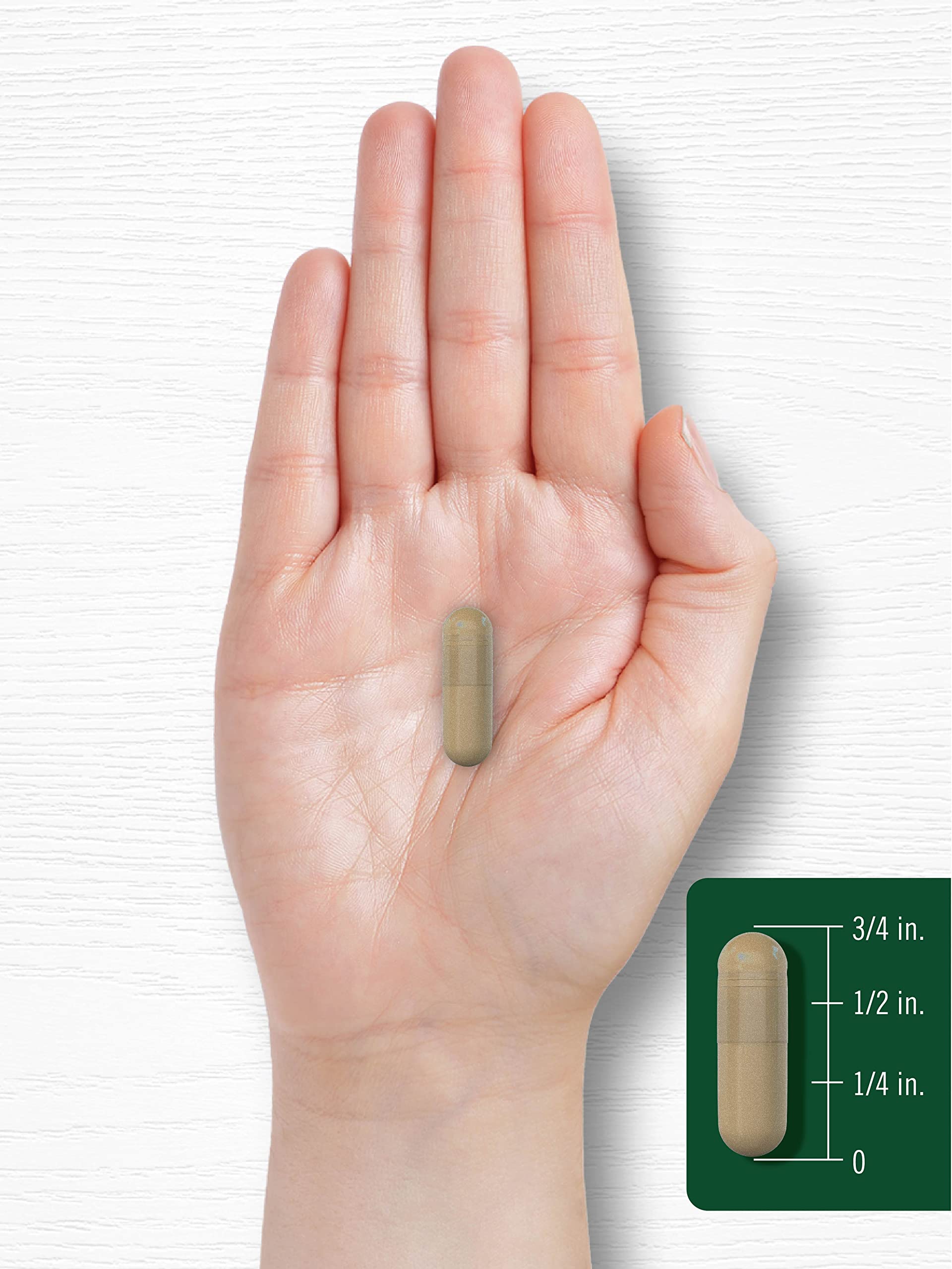 Carlyle Cayenne Pepper Capsules 600mg | 350 Pills | Non-GMO, Gluten Free Supplement Carlyle Au supplements