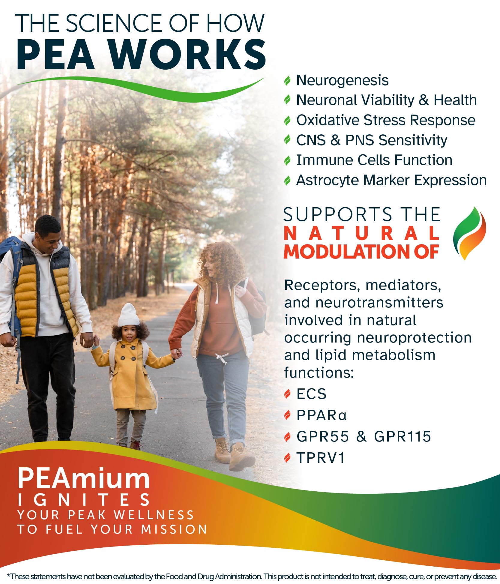 Palmitoylethanolamide 450mg Comfort Mobility Nerves Cognitive & Immune Support - Micronized High Absorption - All Natural Pea - USA Made - No Additives or Excipients – 60 Vegan Capsules Supplement Awakened.energy Au supplements