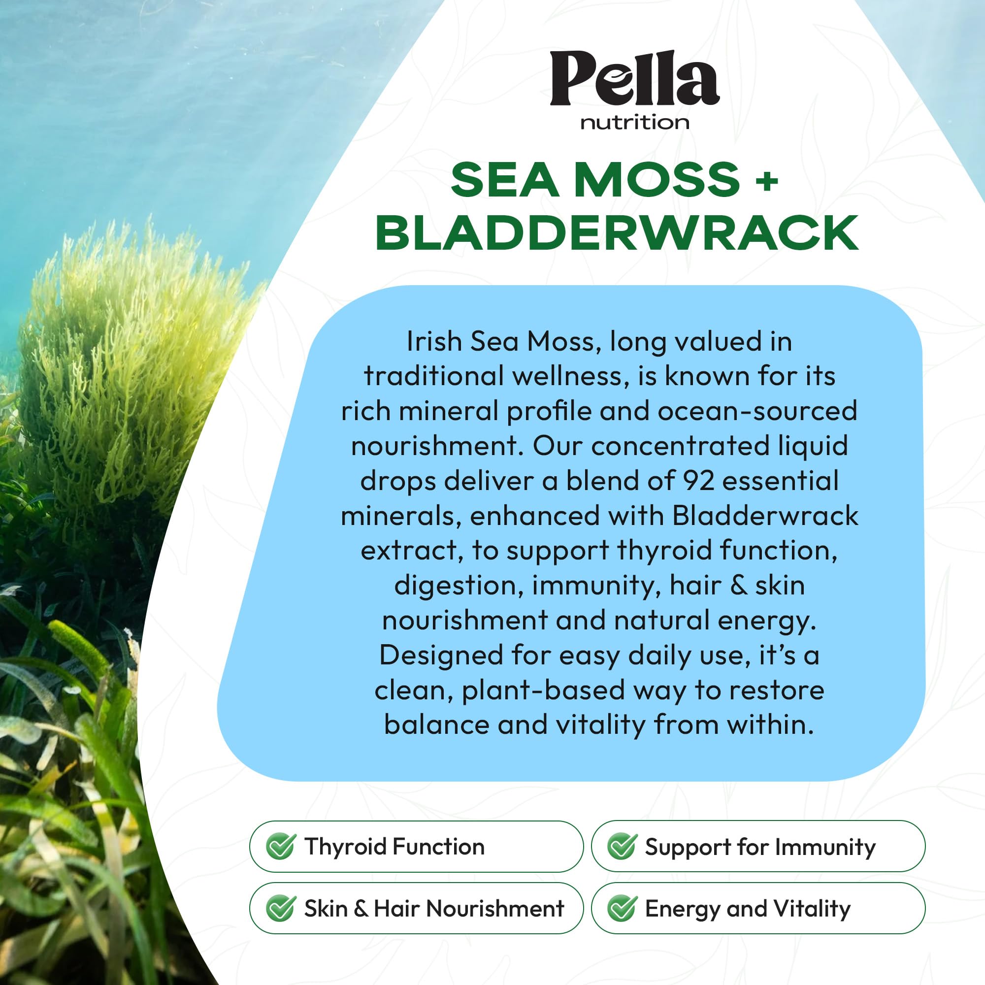 Pella Nutrition Sea Moss Drops with Bladderwrack – 4X Faster Absorption Than Irish Sea Moss Gel Superfood, Gummies, and Capsules – Digestive & Immune Support Supplement (Strawberry Lime, 60mL) Pella Nutrition Au supplements