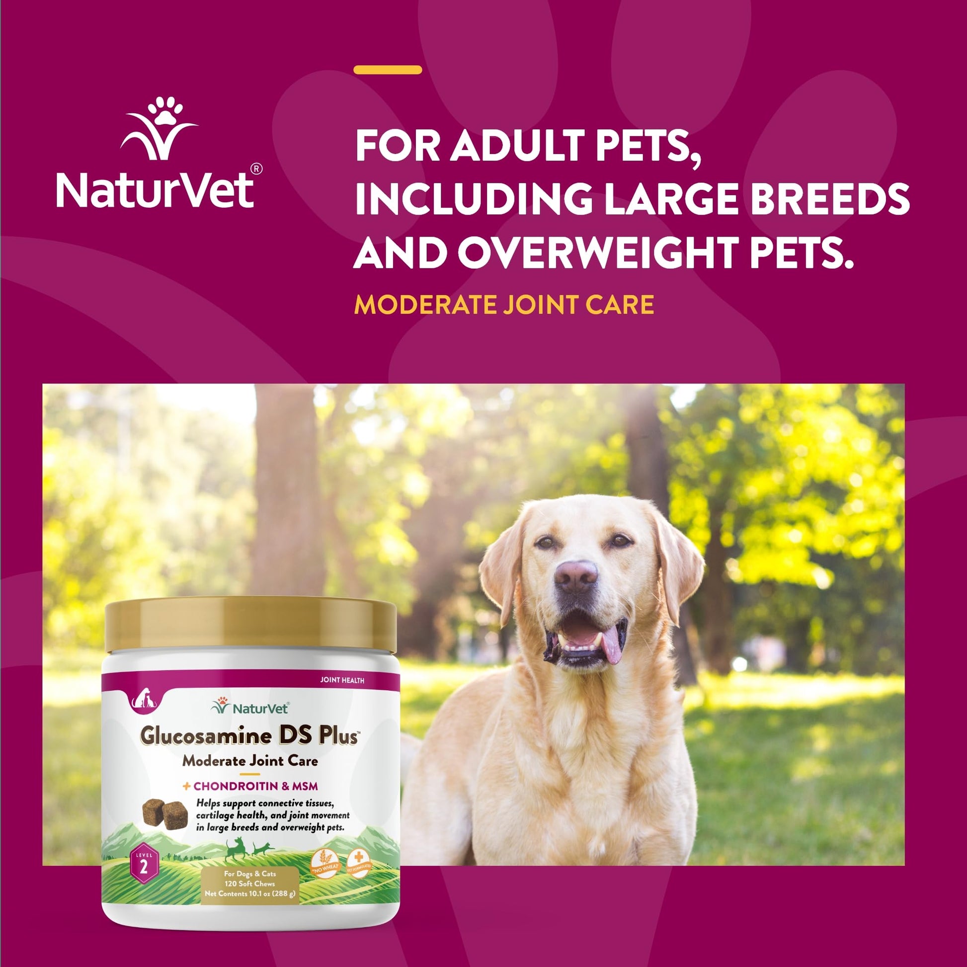 NaturVet – Glucosamine DS Plus - Level 2 Moderate Care – Supports Healthy Hip & Joint Function – Enhanced with Glucosamine, MSM & Chondroitin – for Dogs & Cats–120 Soft Chews NaturVet Au supplements