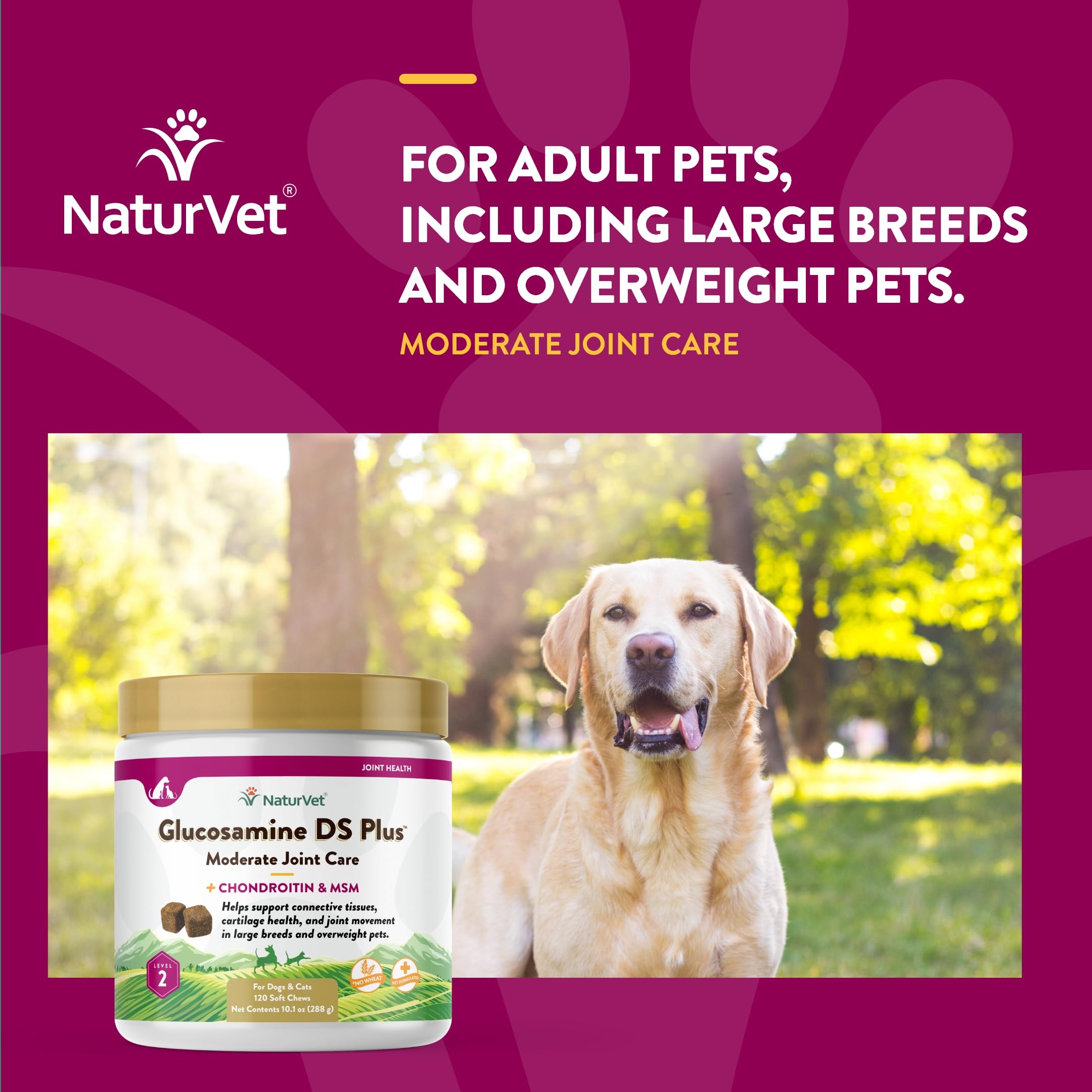 NaturVet – Glucosamine DS Plus - Level 2 Moderate Care – Supports Healthy Hip & Joint Function – Enhanced with Glucosamine, MSM & Chondroitin – for Dogs & Cats–120 Soft Chews NaturVet Au supplements