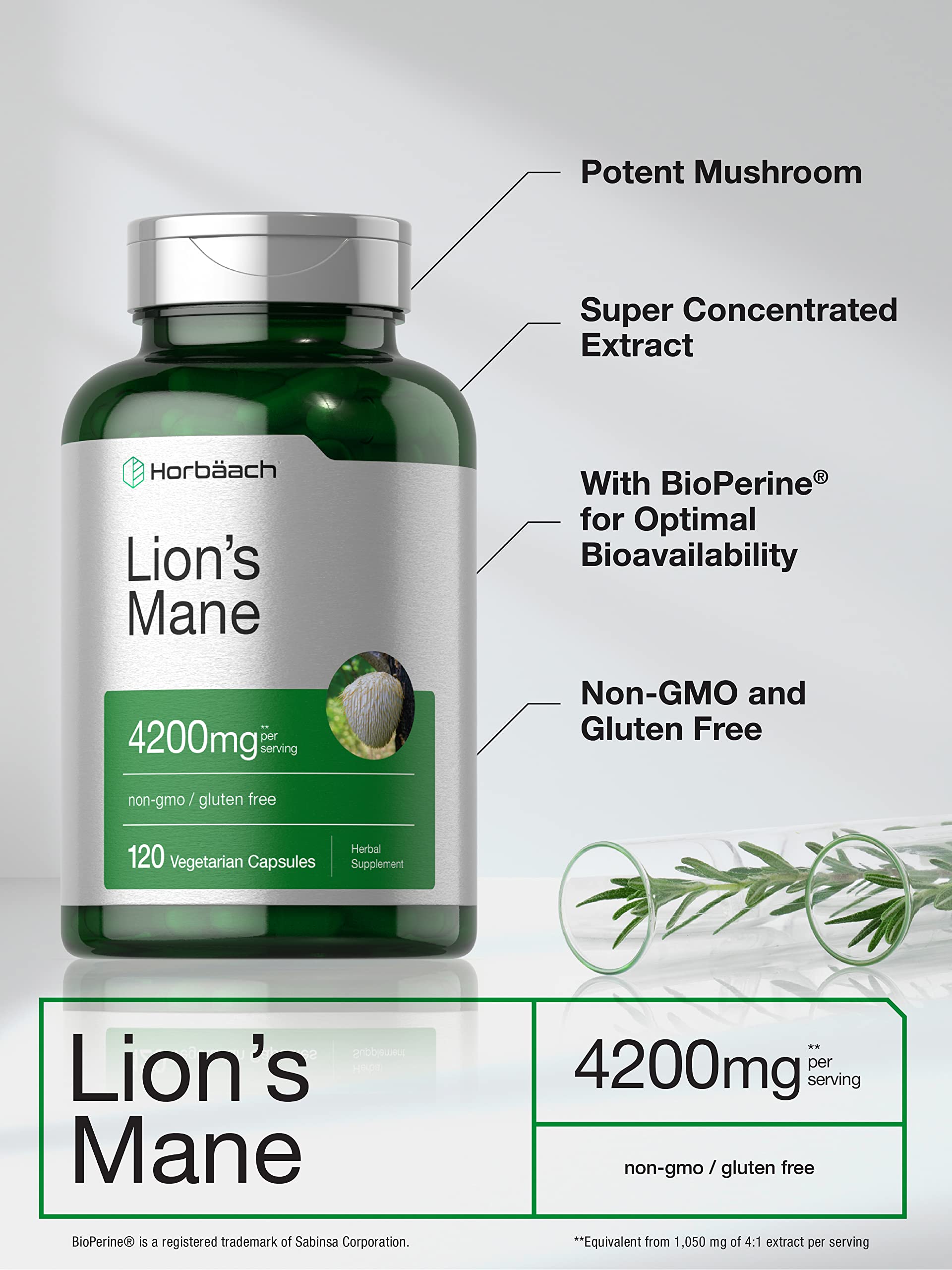 Horbäach Lions Mane Mushroom Extract | 4200mg | 120 Capsules | Vegetarian Horbäach Au supplements