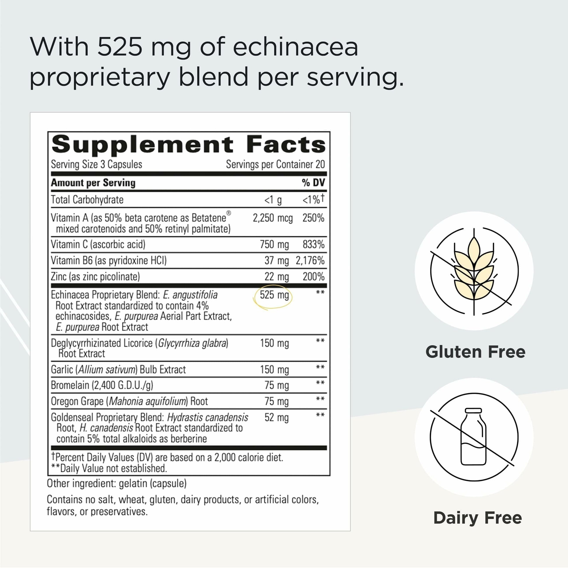 Integrative Therapeutics EHB - Immune Support Supplement with Vitamins A, C & B6* - Mineral Support with Zinc - Dairy-Free & Gluten-Free - 60 Capsules (20 Servings) Integrative Therapeutics Au supplements