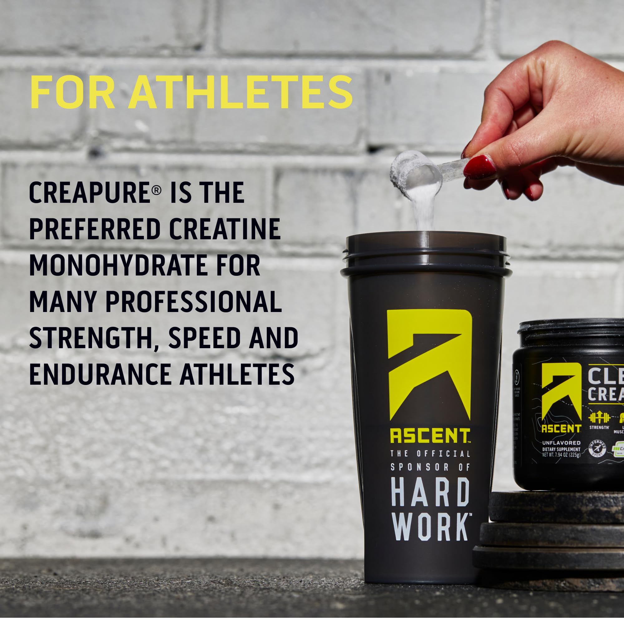 Ascent Clean Creatine Monohydrate Powder - 5G Per Serving, Creapure Creatine Supple Ascent Au supplements