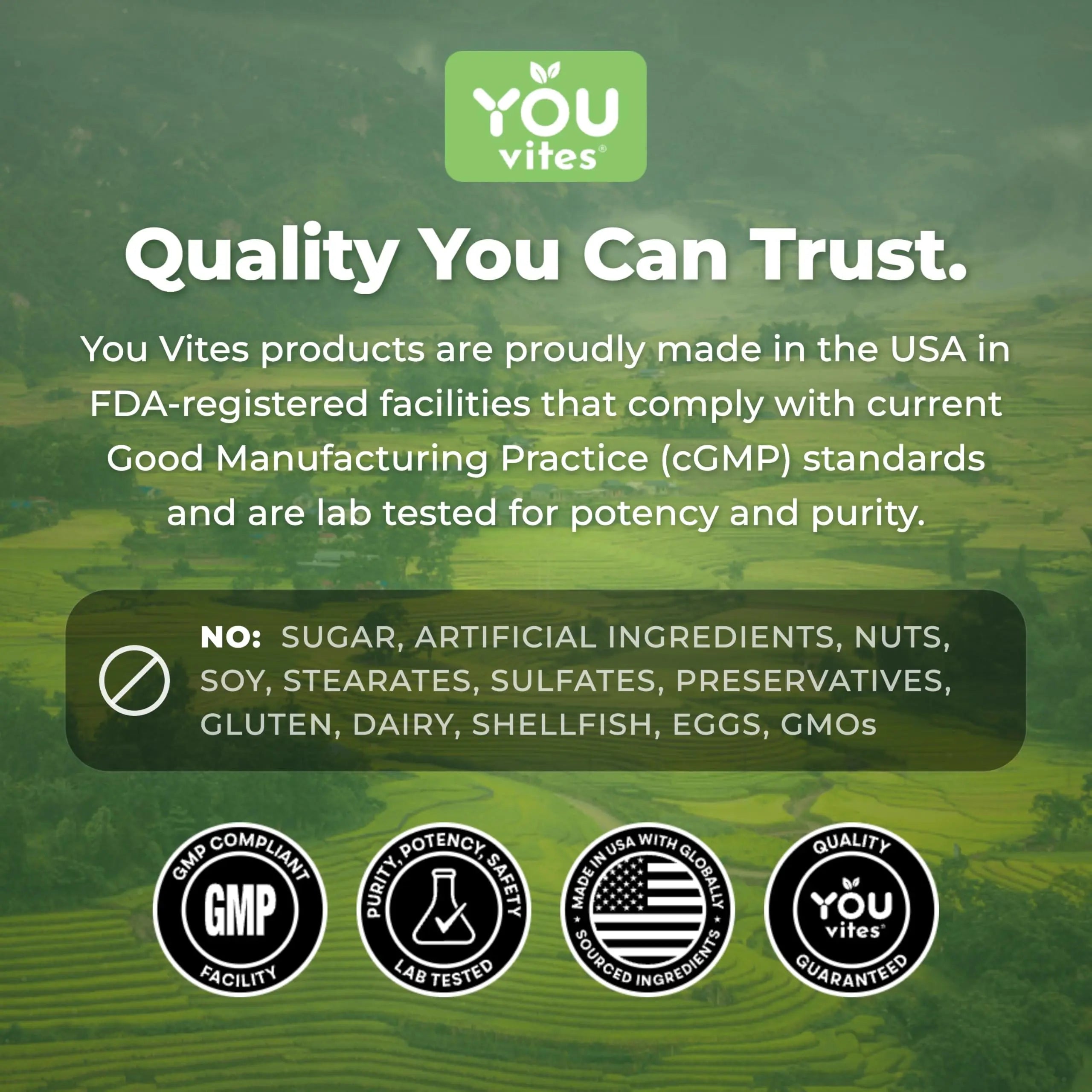 You Vites Threonix Triple Magnesium Complex - Magtein L-Threonate, Bisglycinate Chelate TRAACS & ATA Mg - Brain, Sleep, Mood & Focus Support - High Absorption, Gentle on Stomach - 120 Capsules You Vites Au supplements