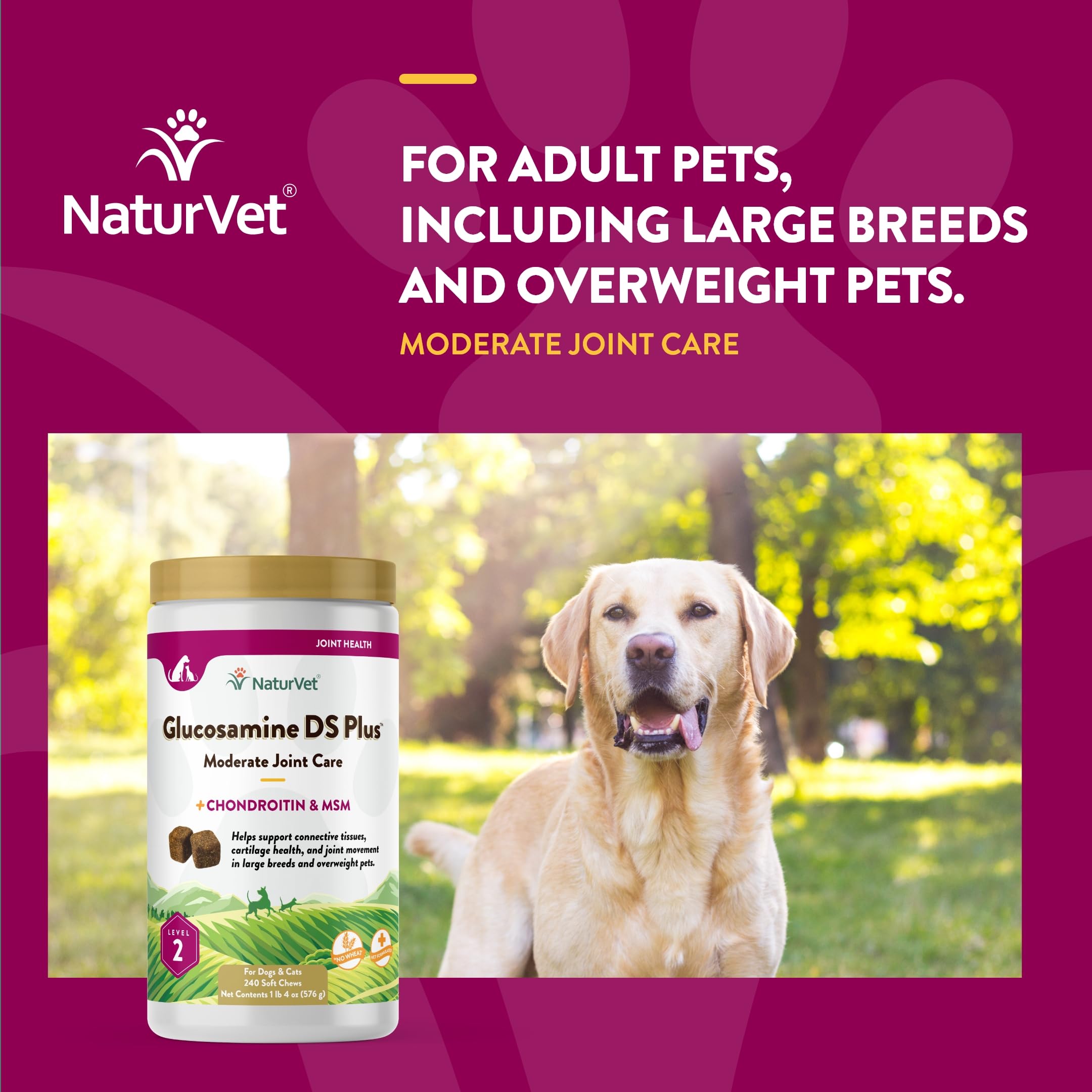 NaturVet – Glucosamine DS Plus - Level 2 Moderate Care – Supports Healthy Hip & Joint Function – Enhanced with Glucosamine, MSM & Chondroitin – for Dogs & Cats – 240 Soft Chews NaturVet Au supplements