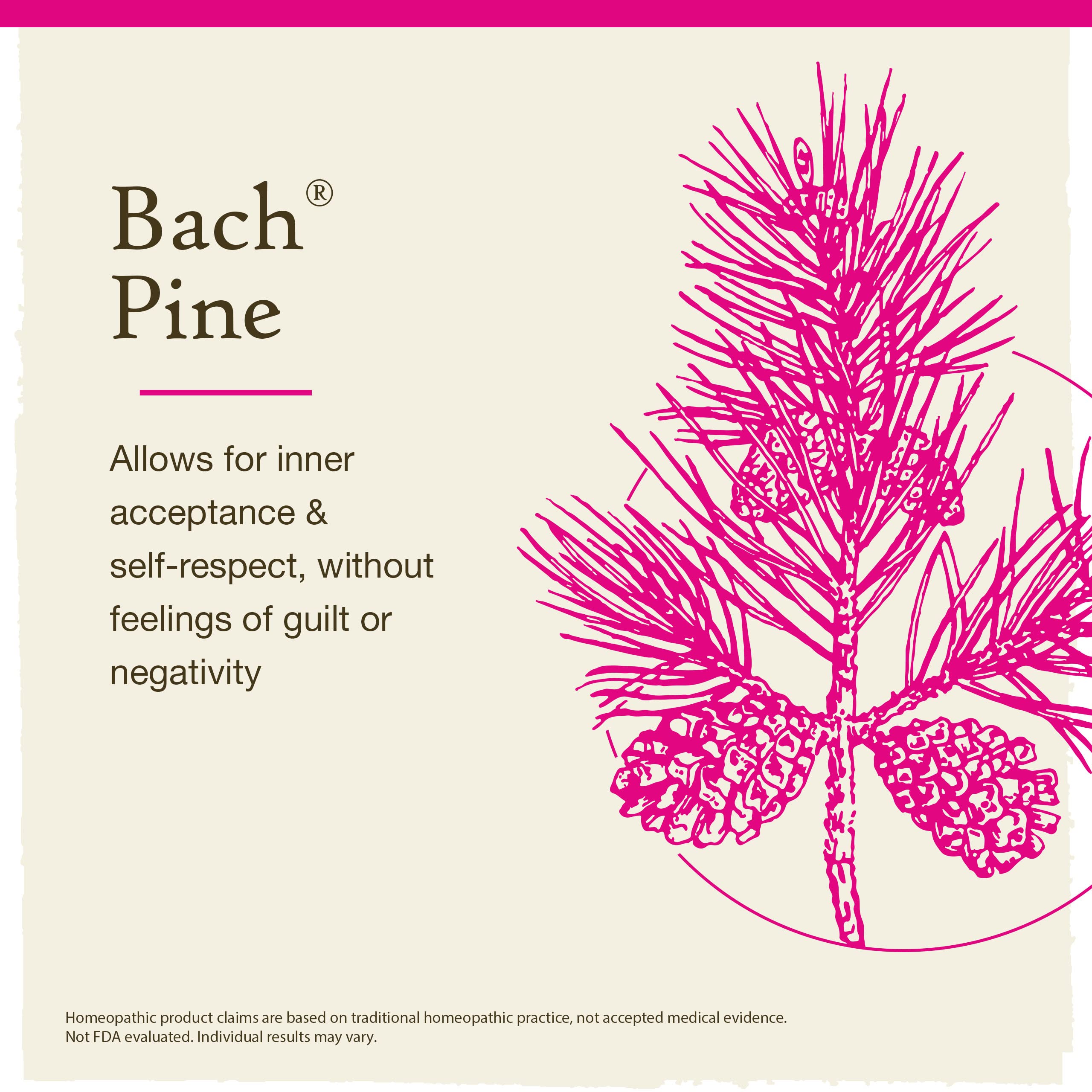 Bach Original Flower Remedies, Pine for Self Respect, Natural Homeopathic Flower Essence Bach Au supplements