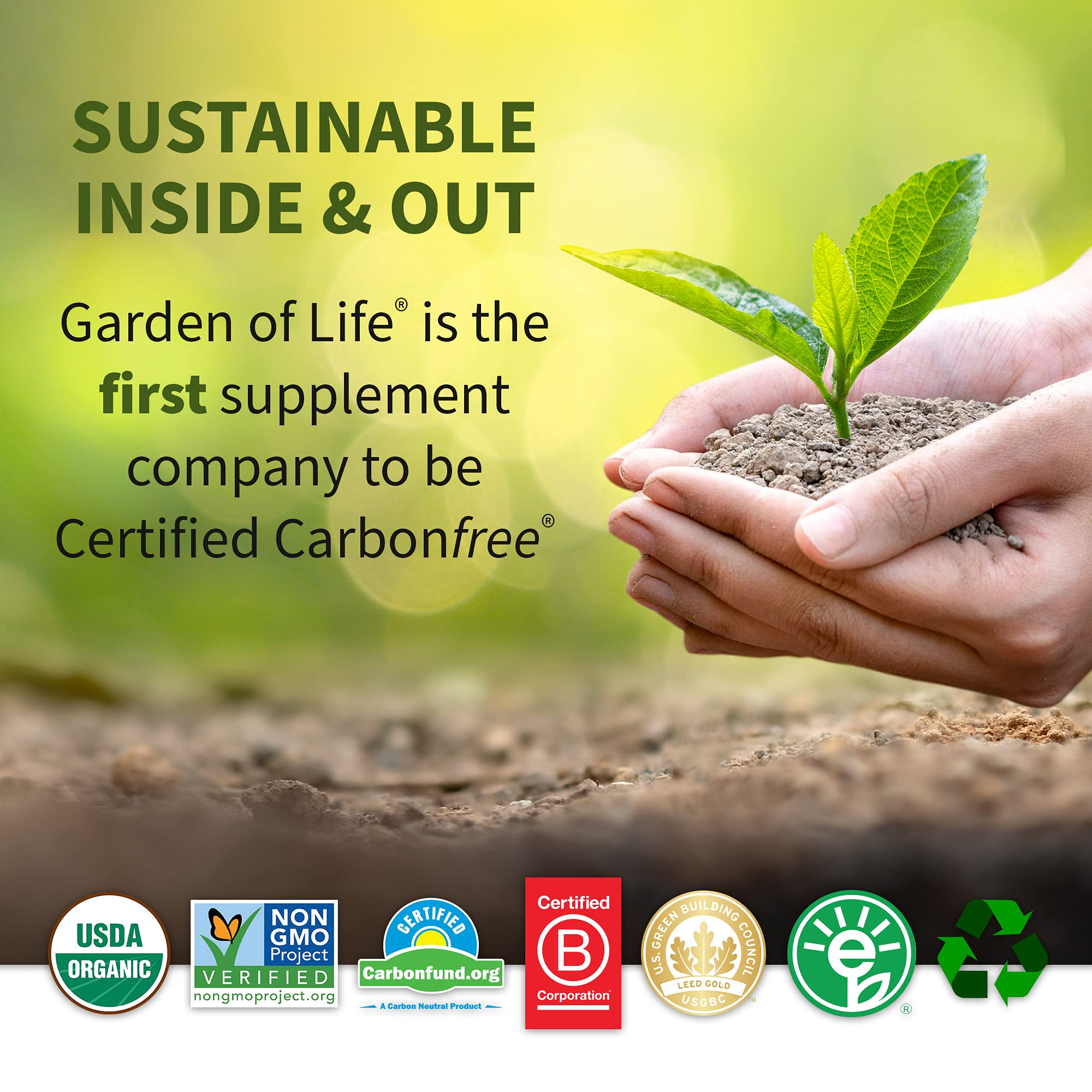 Garden of Life Raw Organic Protein & Greens Lightly Sweet, Vegan Protein Powder Garden of Life Au supplements