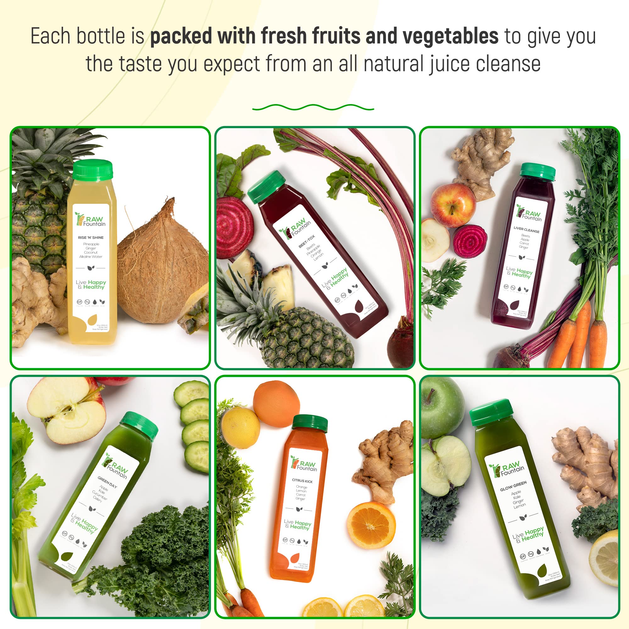 Raw Fountain 1 Day Juice Cleanse, All Natural Detox Cleanse, Cold Presssed Fruit Raw Fountain Au supplements