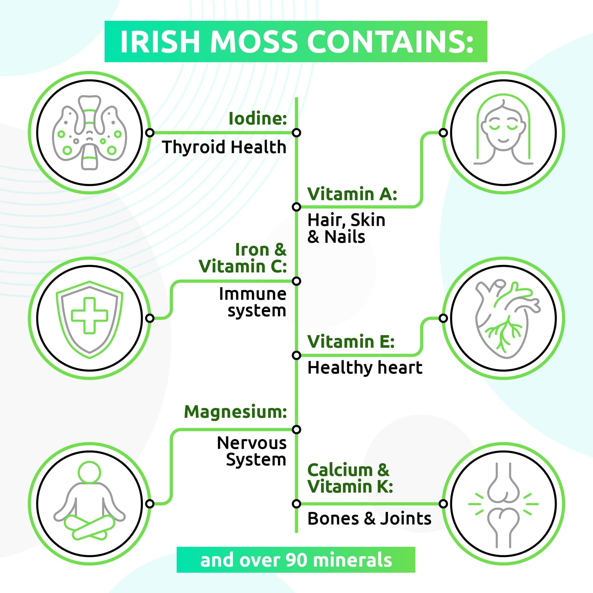 TrueSeaMoss Wildcrafted Irish Sea Moss Gel – Nutritious Organic Raw Seamoss Rich TrueSeaMoss Au supplements