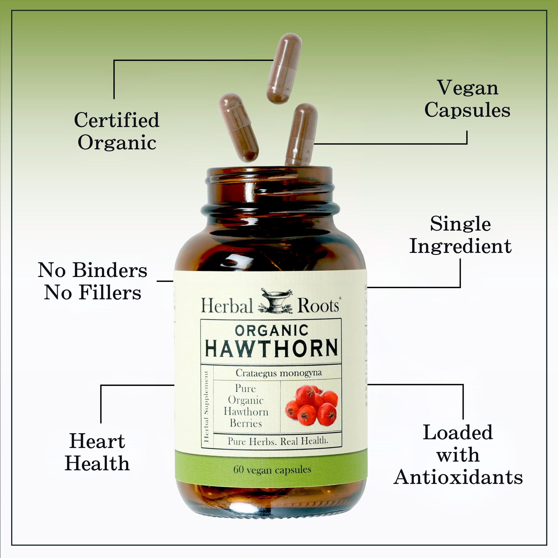 Herbal Roots Organic Hawthorn Berry Capsules | Extra Strength 1,200mg per Serving Herbal Roots Au supplements