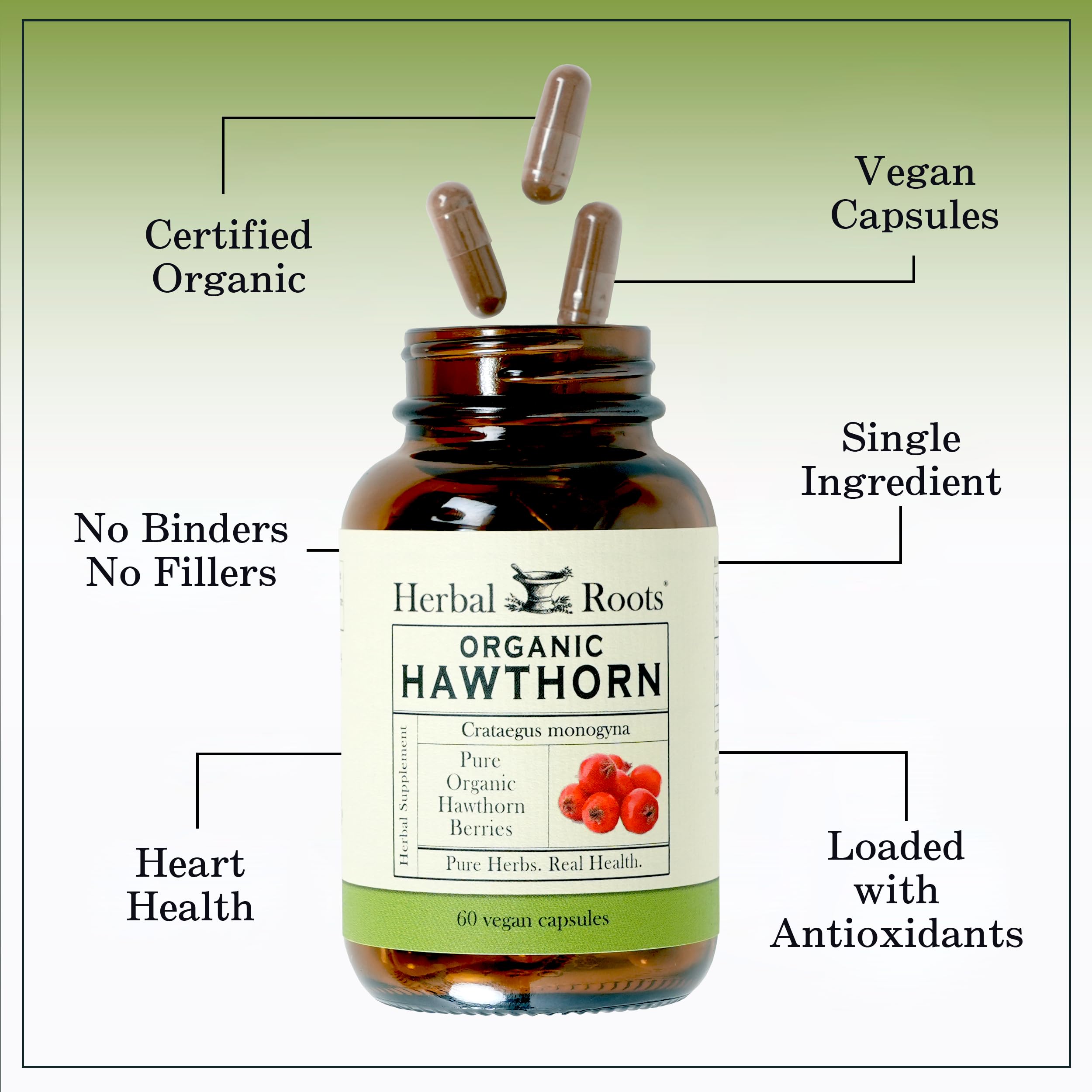 Herbal Roots Organic Hawthorn Berry Capsules | Extra Strength 1,200mg per Serving Herbal Roots Au supplements