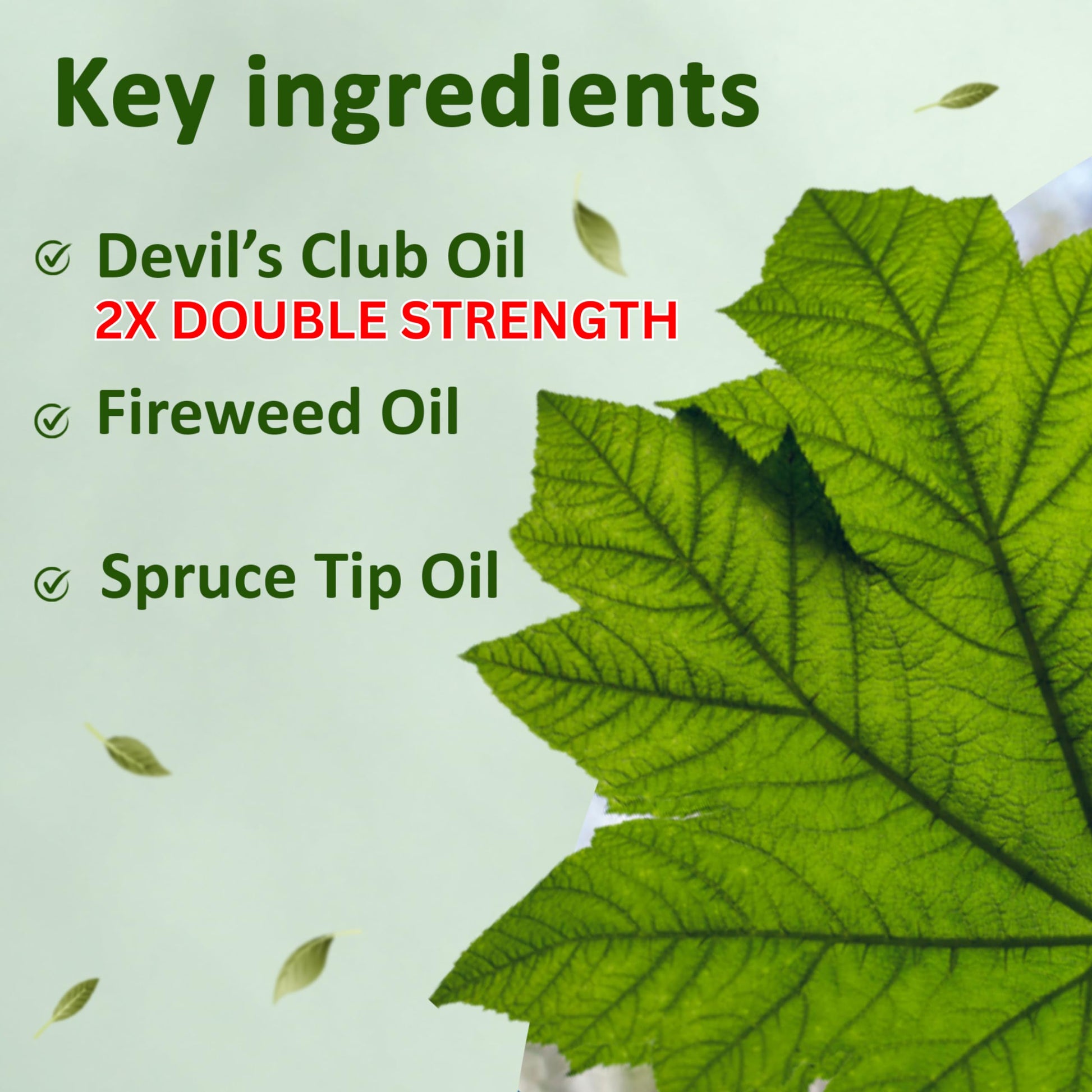Snowy Summit Alaska Rainforest 2X Salve Stick - Salve for Dry Skin & Joint Relief - Natural Salve for Soothing Skin with Gentle Aroma - Body & Hand Salve - Muscle Rub Alaskan Devil’s Club Oil Snowy Summit Au supplements