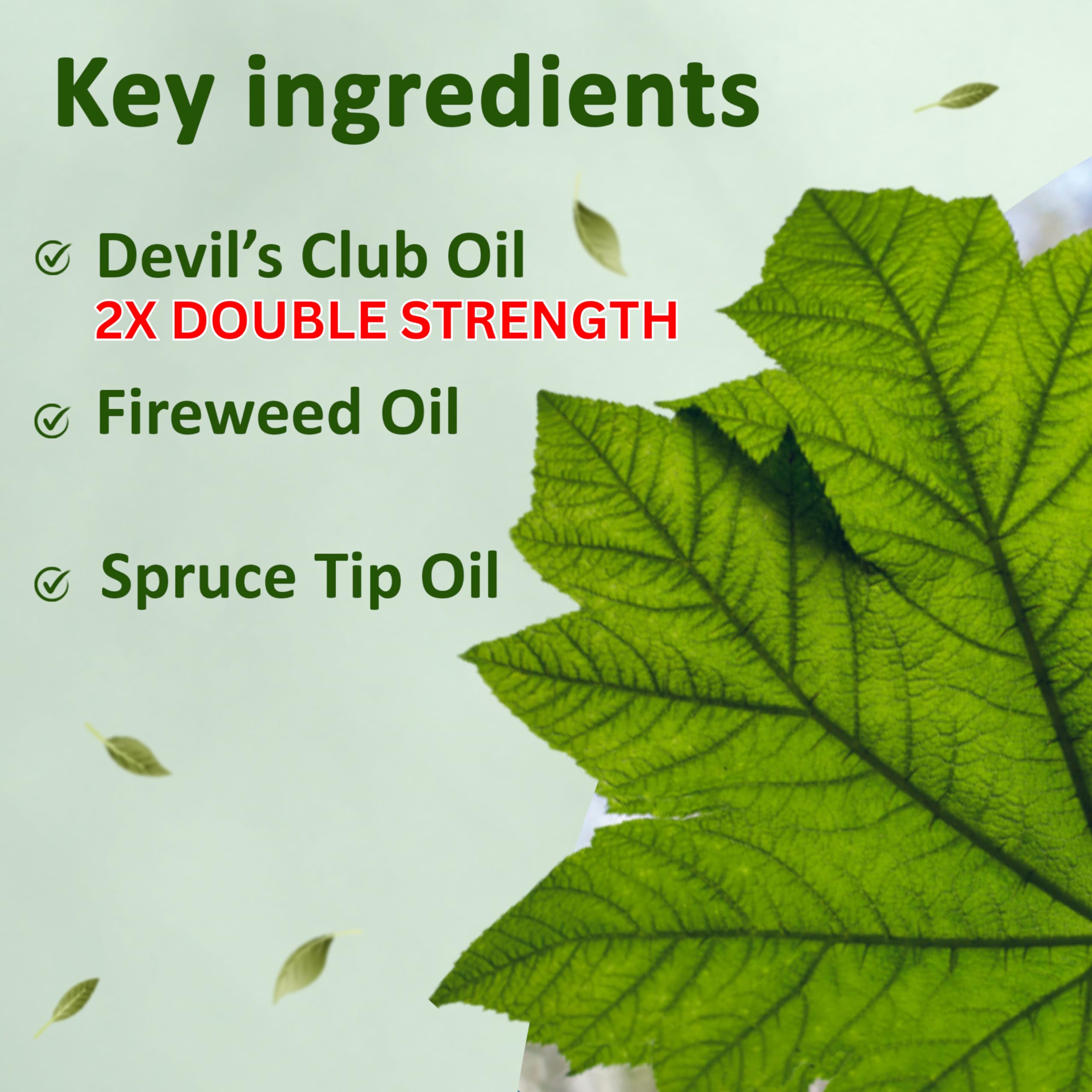 Snowy Summit Alaska Rainforest 2X Salve Stick - Salve for Dry Skin & Joint Relief - Natural Salve for Soothing Skin with Gentle Aroma - Body & Hand Salve - Muscle Rub Alaskan Devil’s Club Oil Snowy Summit Au supplements