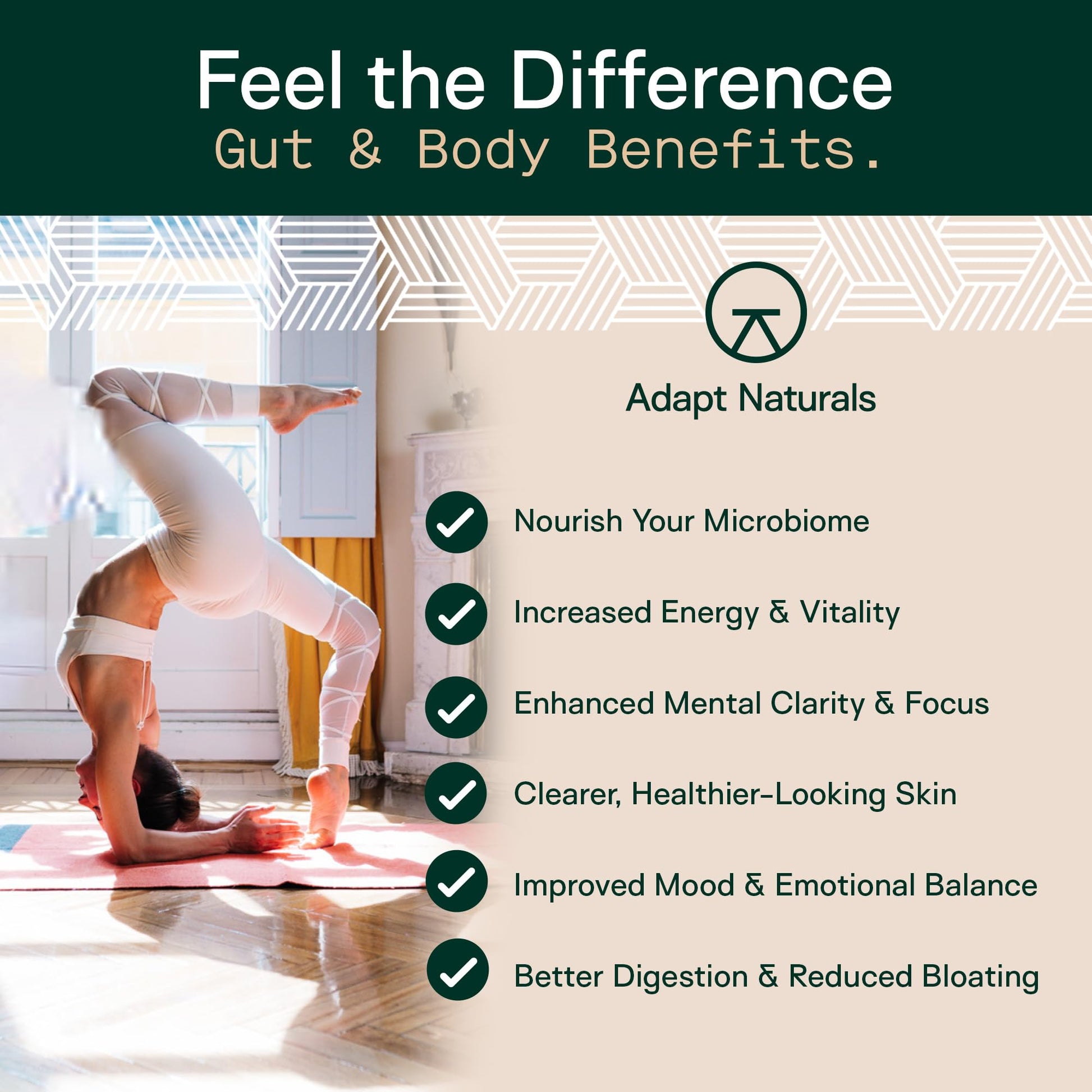 Adapt Naturals 4-in-1 Biome Protect Prebiotics, Probiotics Supplement Postbiotics & Polyphenols for Microbiome, Gut Health & Defense for Women & Men, 30 Day Supply ADAPT NATURALS BY CHRIS KRESSER Au supplements