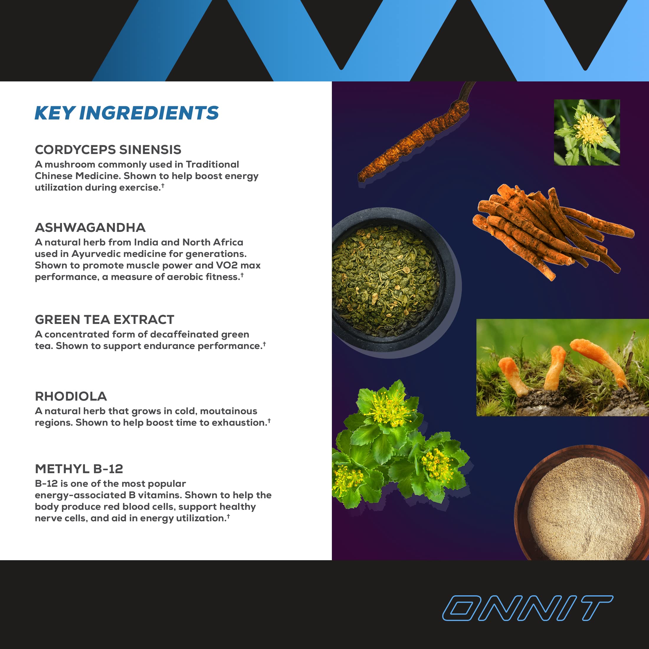 Onnit Shroom TECH Sport (84ct) | All Natural Pre-Workout Supplement with Ashwagandha ONNIT Au supplements
