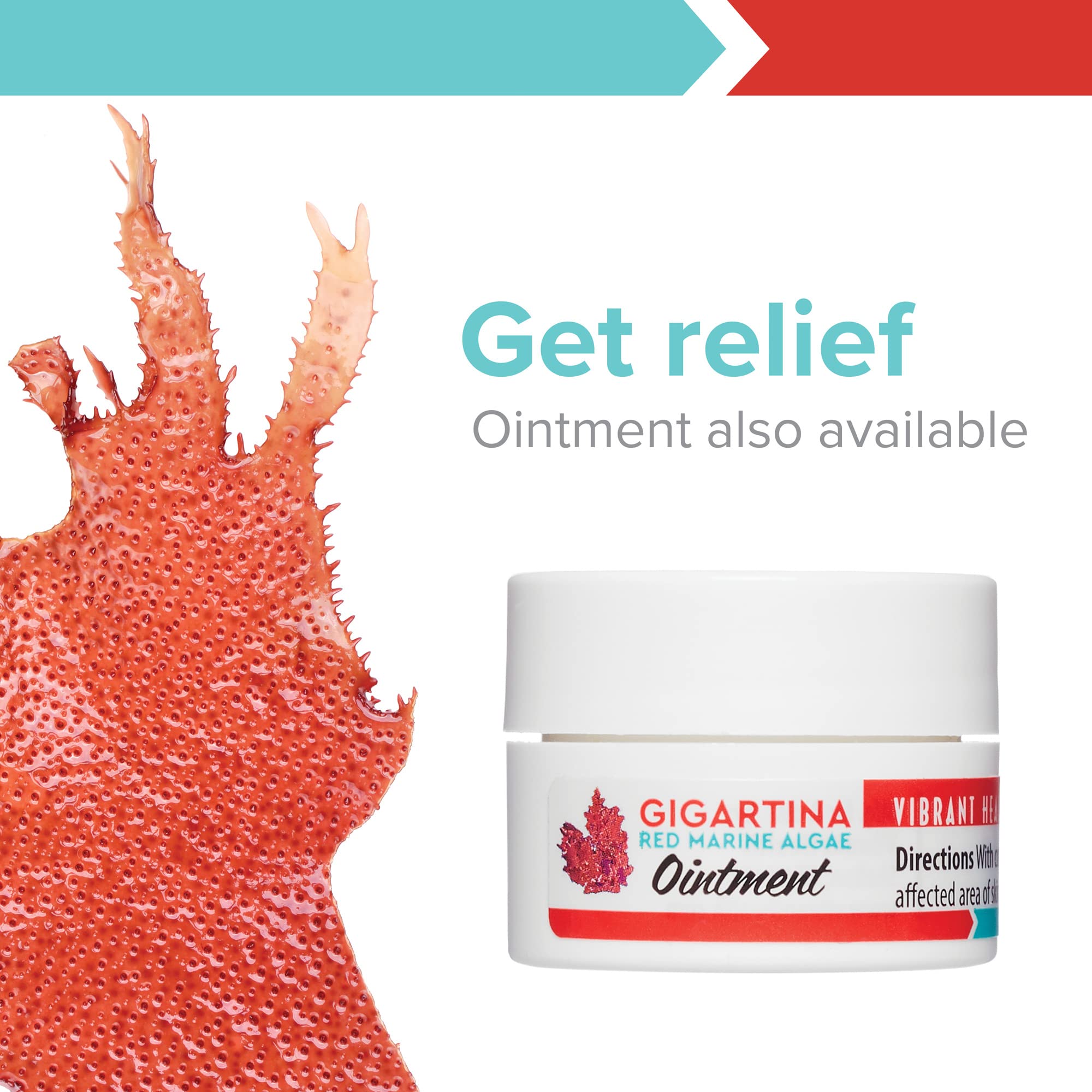 Vibrant Health, Gigartina Red Marine Algae, Plant-Based Immune Support, 60 Capsules Vibrant Health Au supplements