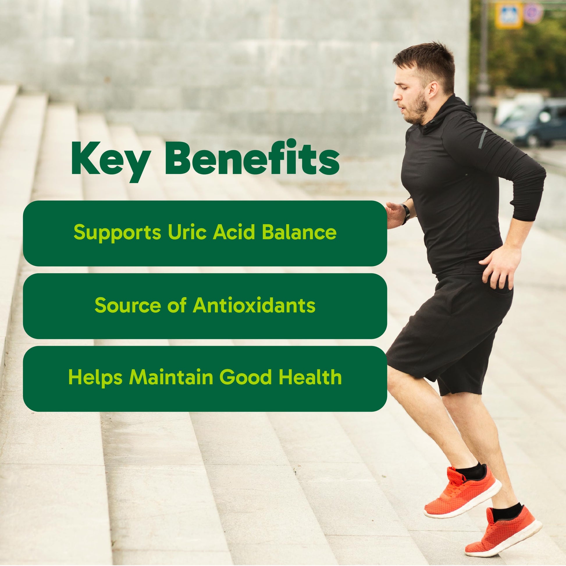 Organika Goutrin Uric Acid Flush for Gout (120 Caps): Gentle Gout Support with Cherry, Thyme, Celery Seed, Peppermint, & VIT C: Clean & Vegan Gout Supplements for Men & Women - Metabolism & Mobility Organika Au supplements