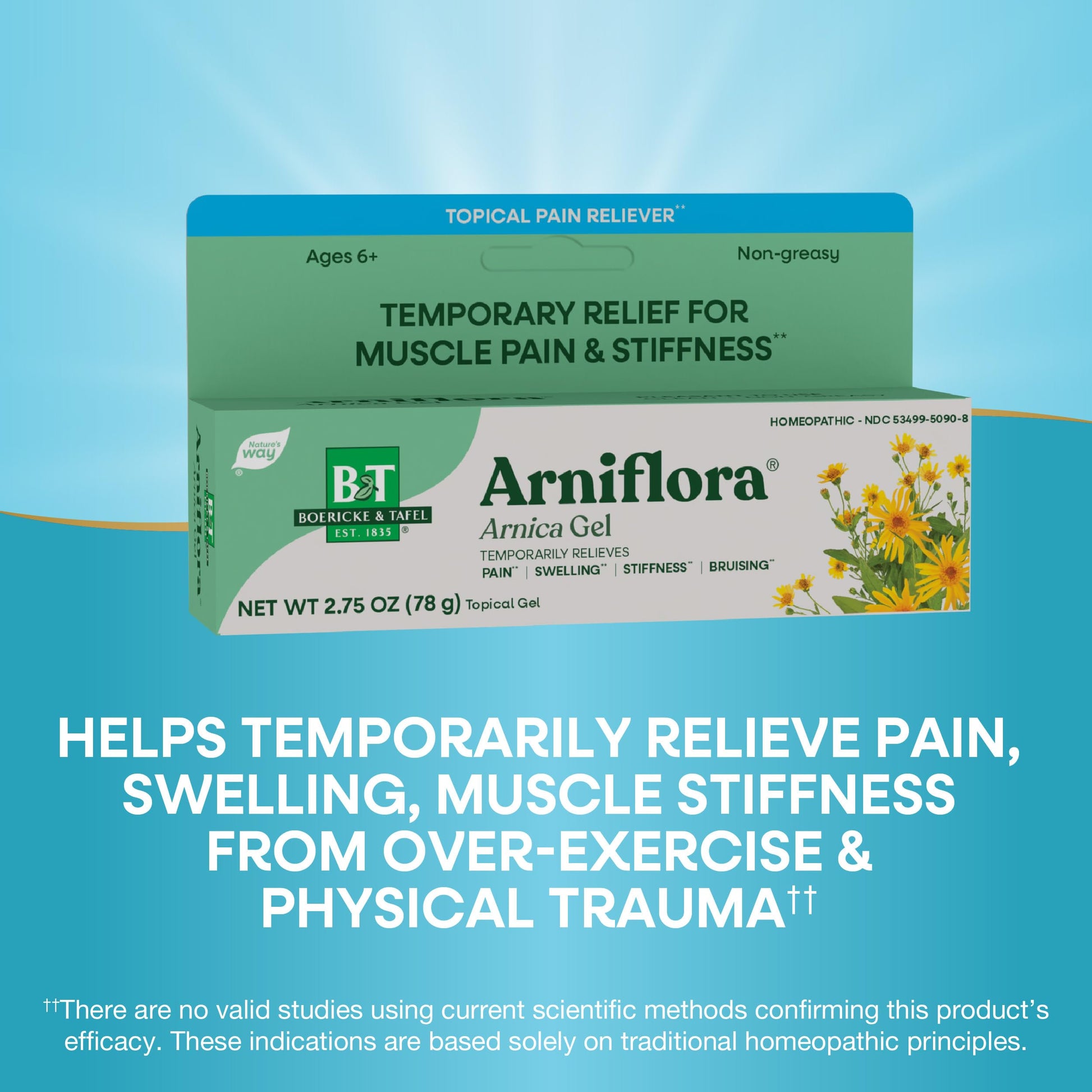 Nature's Way Boericke & Tafel Arniflora Arnica Gel, Temporarily Relieves Pain*, Swelling*, Stiffness*, 2.75 Oz (Packaging May Vary) Nature's Way Au supplements