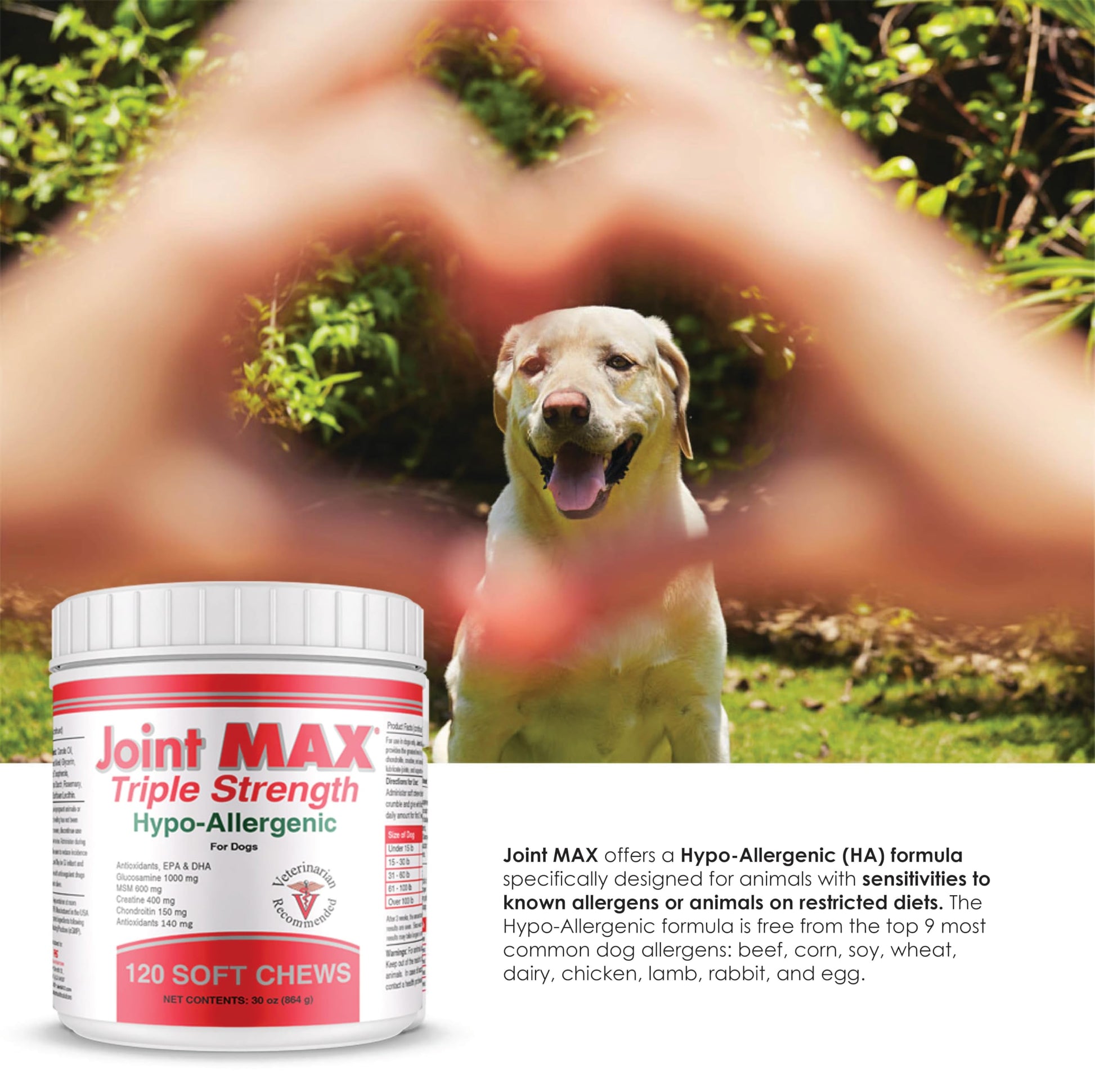 Joint MAX Triple Strength Hypo-Allergenic Soft Chews for Dogs - Hip and Joint Support Supplement with Glucosamine, Chondroitin, & MSM - Made in The USA - 120 Soft Chews Joint Max Au supplements