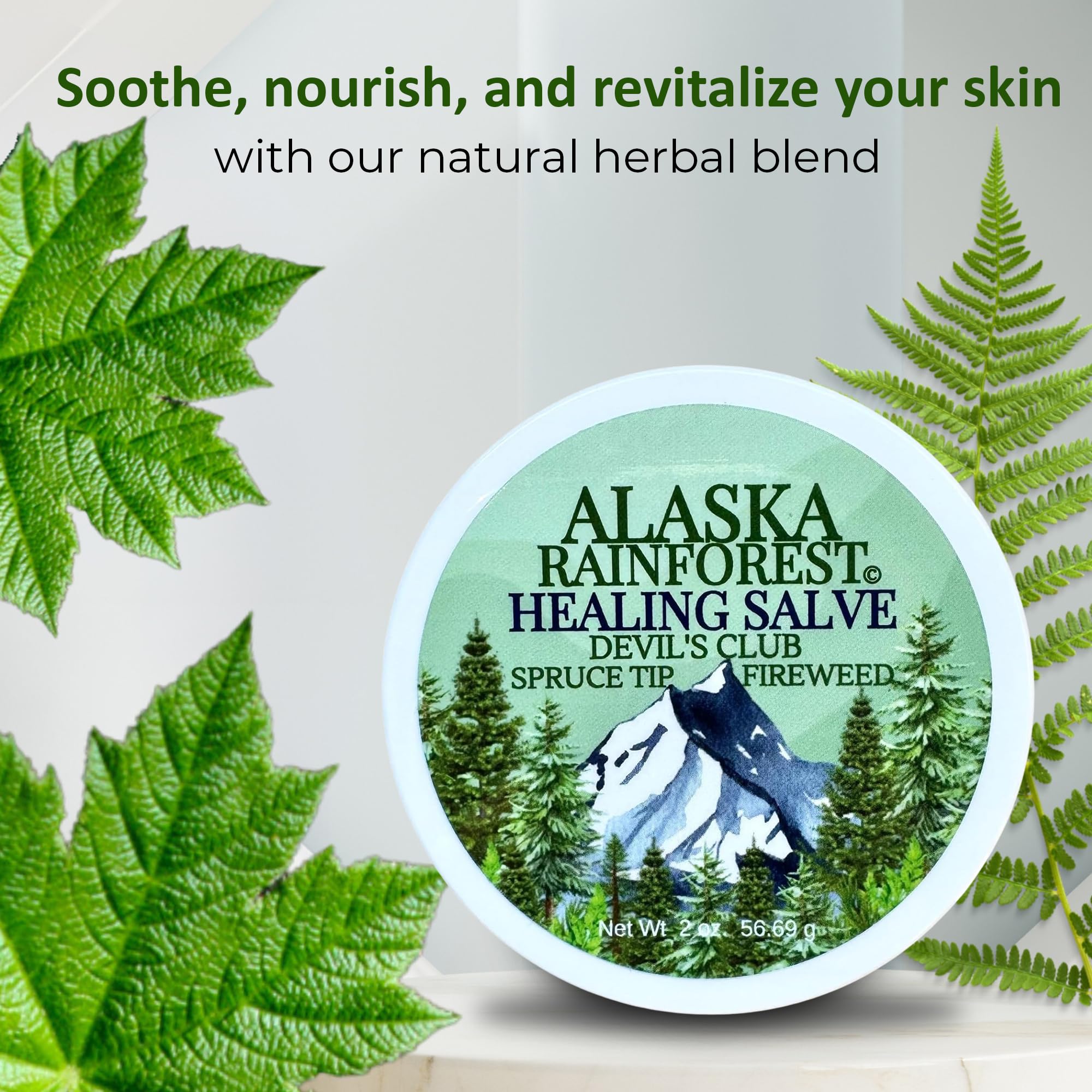 Snowy Summit Alaska Rainforest Salve - Herbal Salve for Dry Skin & Joint Relief - Natural Super Salve for Soothing Skin with Gentle Aroma - Body & Hand Salve - Muscle Rub with Alaskan Devil’s Club Oil Snowy Summit Au supplements