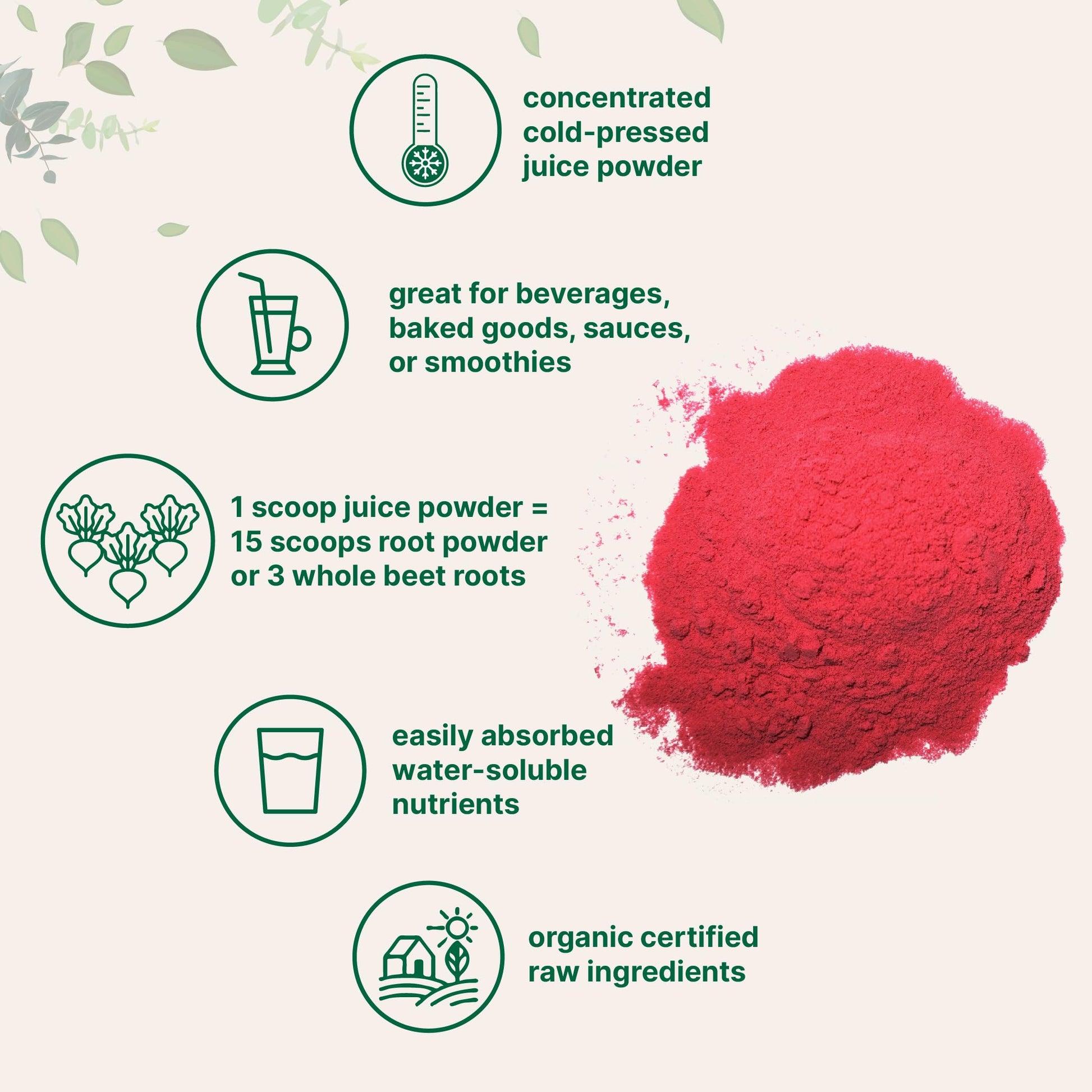 Micro Ingredients Organic Beet Root Powder, 1 Pound, Cold Pressed and Water Soluble Micro Ingredients Au supplements