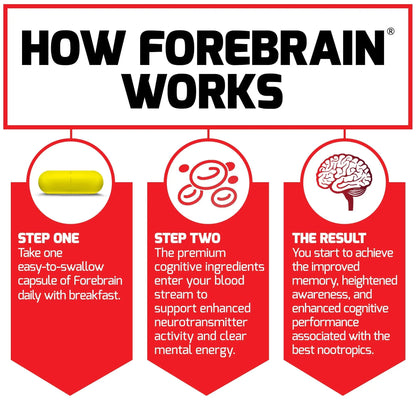 Force Factor Forebrain Nootropic Brain Supplement with Caffeine Bacopa and Huperzine A Capsules 3Pack, White, 90 Count Force Factornz supplements