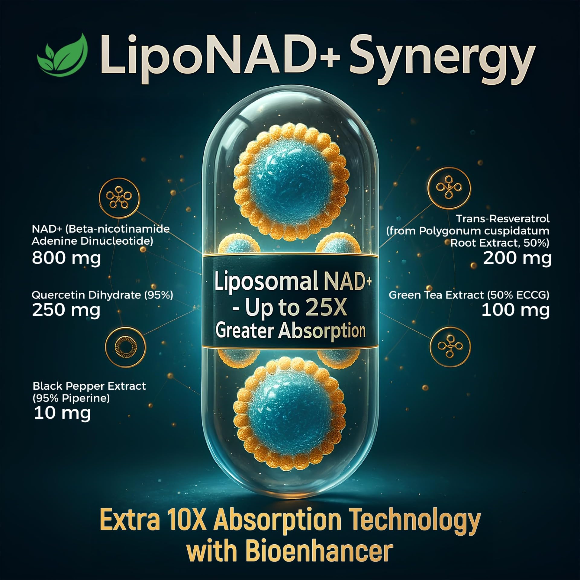 NAD+ Supplement, 1,360mg Max Strength Liposomal | Resveratrol, Quercetin, Green Tea | Cellular Energy & Healthy Aging for Men & Women | 800mg of 100% High Purity NAD+ for Energy, Focus - 90 Capsules Holistnature Au supplements