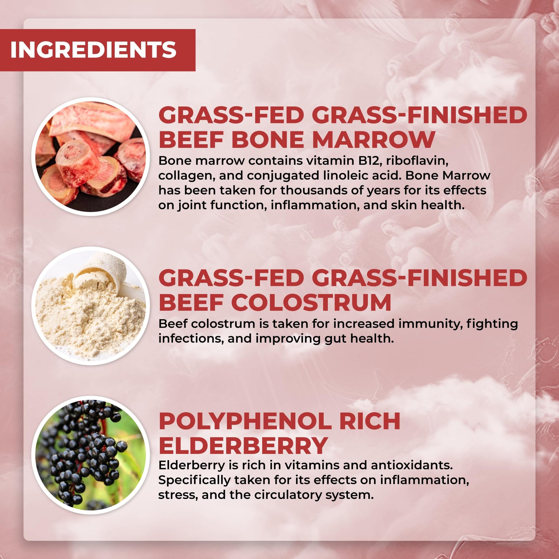 Santa Cruz Paleo, Food of the Gods Grass Fed Beef Organ Supplement for Men and Women, with Collagen, Maca Root, Colostrum, Bone Broth, Iron, Vitamin B12, Gluten Free, Keto Friendly, 30 Servings Santa Cruz Paleo Au supplements