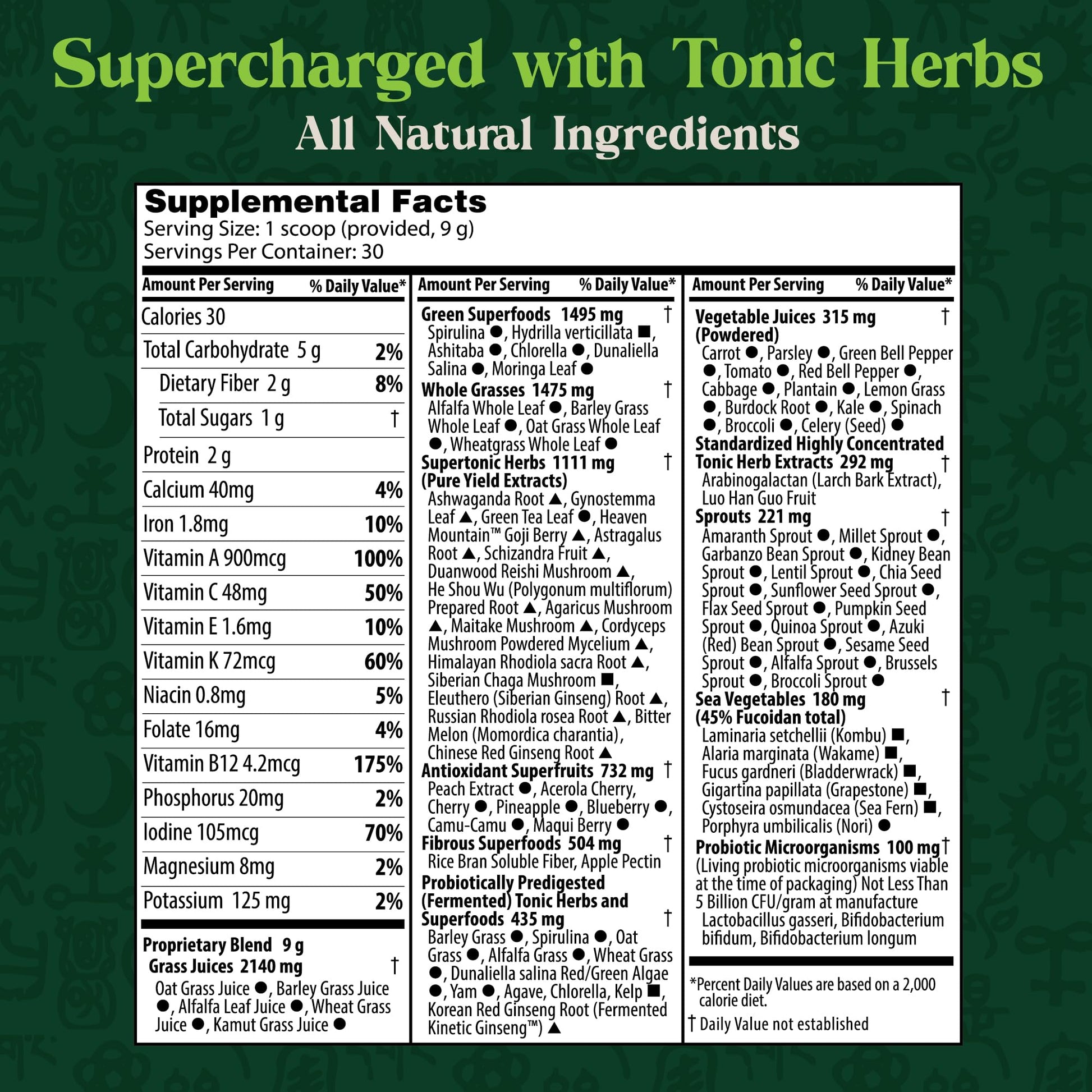 Dragon Herbs Tonic Alchemy Superfood Greens Powder with 91 Ingredients: Tonic Herbs, Ashwagandha, Mushrooms, Probiotics, Super Greens, Seaweeds, Fruits, Vegetables, Spirulina - 30 Servings Dragon Herbs Au supplements