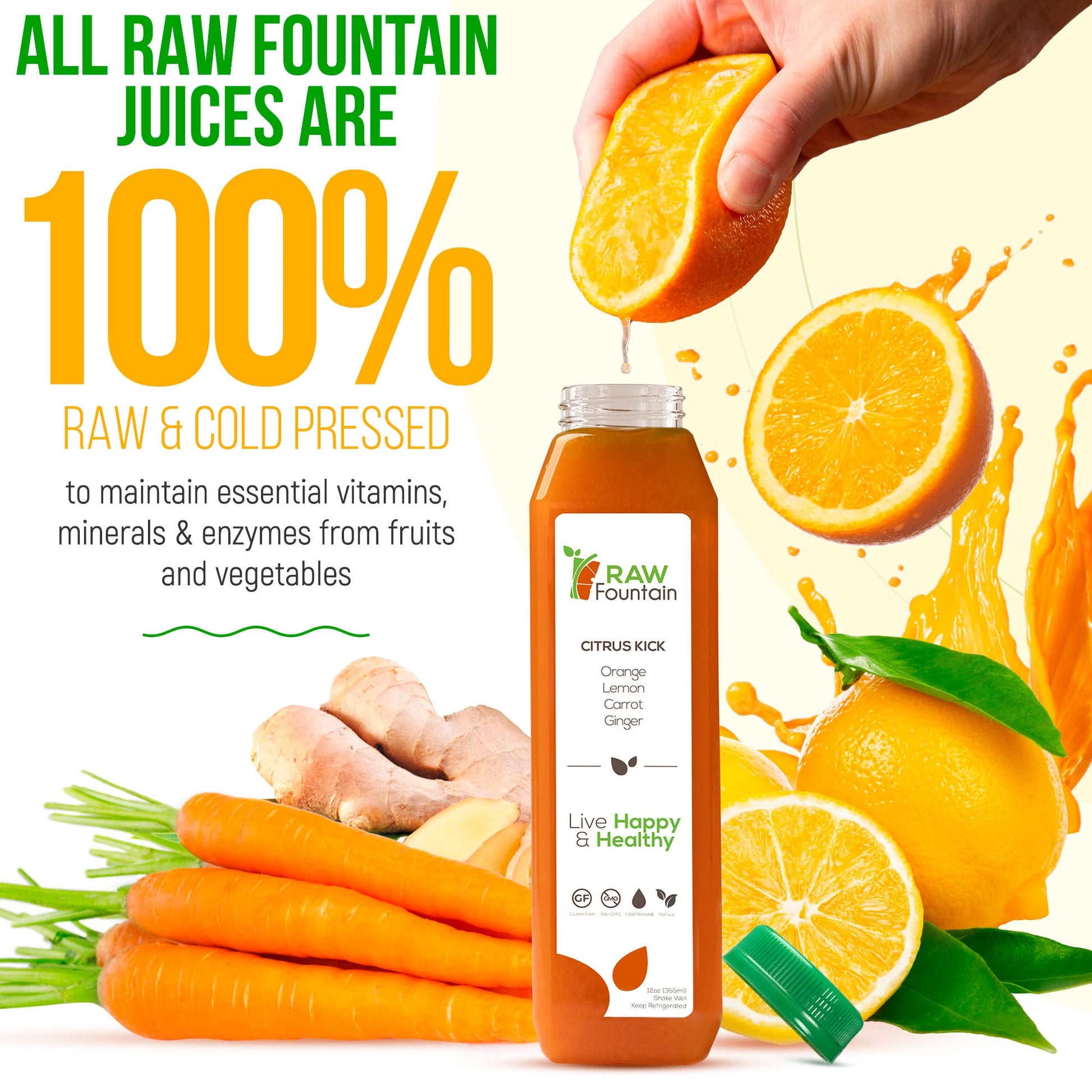 1 Day Green Juice Cleanse by Raw Fountain, All Natural Raw, Vegan Detox, Cold Pressed Raw Fountain Au supplements