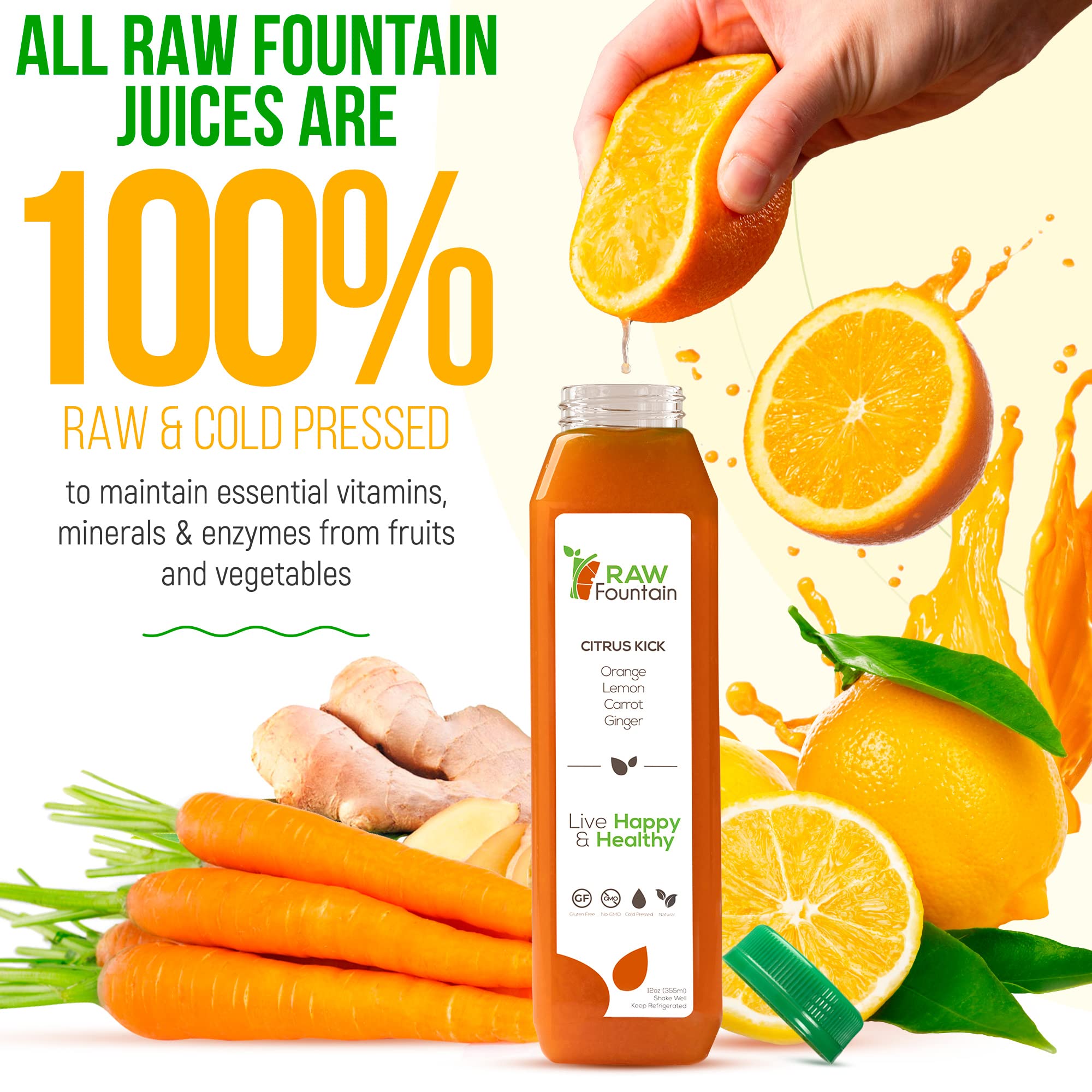 1 Day Green Juice Cleanse by Raw Fountain, All Natural Raw, Vegan Detox, Cold Pressed Raw Fountain Au supplements