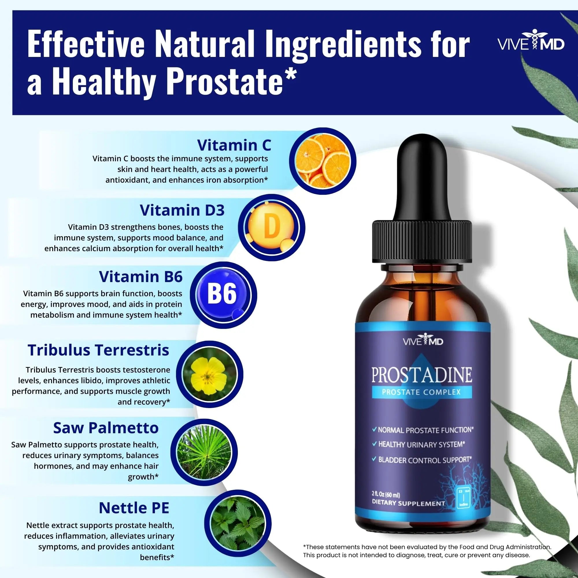 VIVE MD Prostadine Drops for Prostate Health, Bladder Urinating Issues - Prostadine Official Drop Formula - Extra Strength with Pomegranate, Prostadine Reviews (Package of 5) VIVE MD Au supplements
