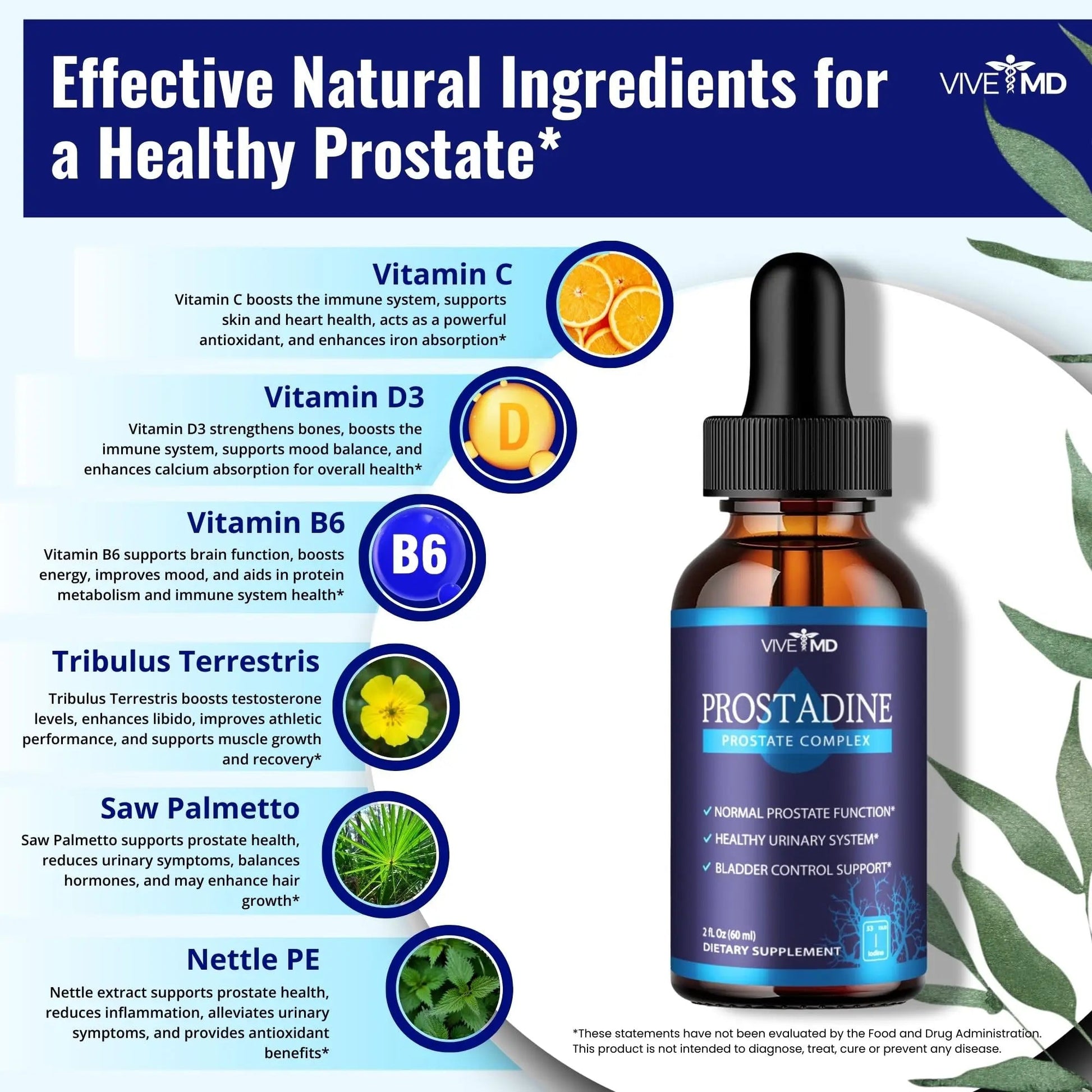 VIVE MD Prostadine Drops for Prostate Health, Bladder Urinating Issues - Prostadine Official Drop Formula - Extra Strength with Pomegranate, Prostadine Reviews (Package of 1) VIVE MD Au supplements