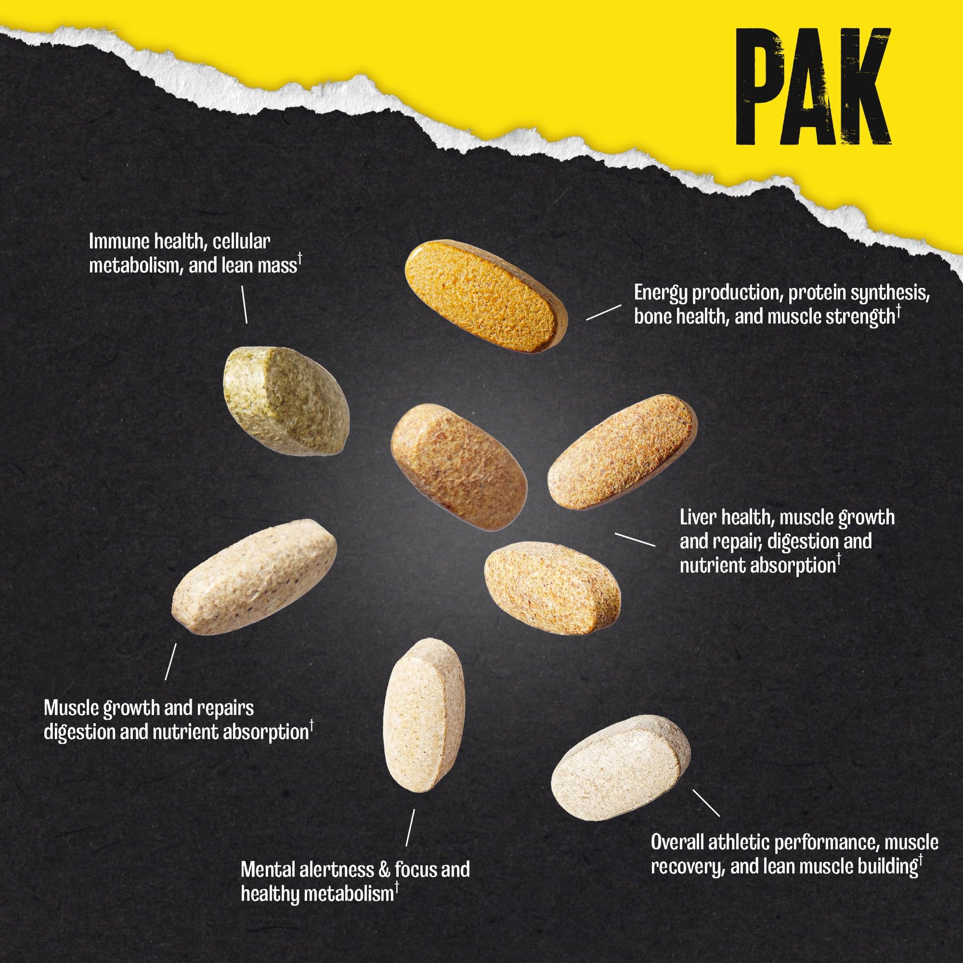 Animal Pak - Convenient Multivitamin for Men & Women Daily All-in-One Vitamin & Supplement Pack - Zinc, Vitamins C, B, D, Amino Acids, and Immune Support - Sports Nutrition Performance - 44 Count Animal Au supplements