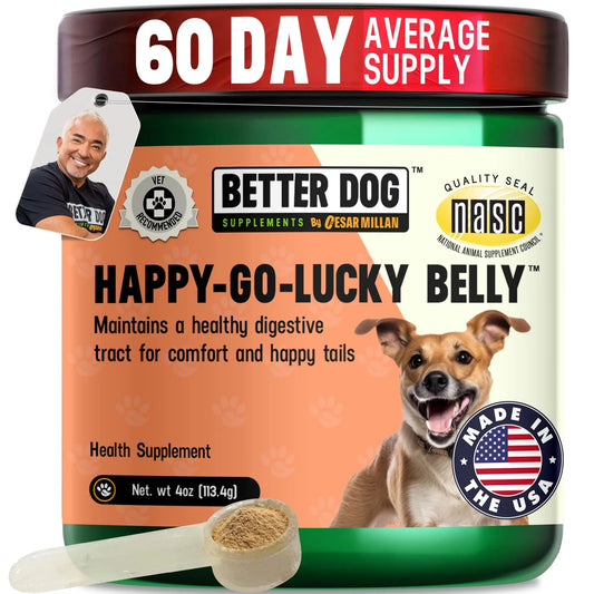 Better Dog Supplements Happy-Go-Lucky Belly by Cesar Millan - Natural Dog Digestive Support Powder – Dog Constipation Relief, Gut Balance & Regularity with Herbal Fiber for Dogs – 4oz (60-Day Supply) Better Dog Supplements By Cesar MillanAu supplements