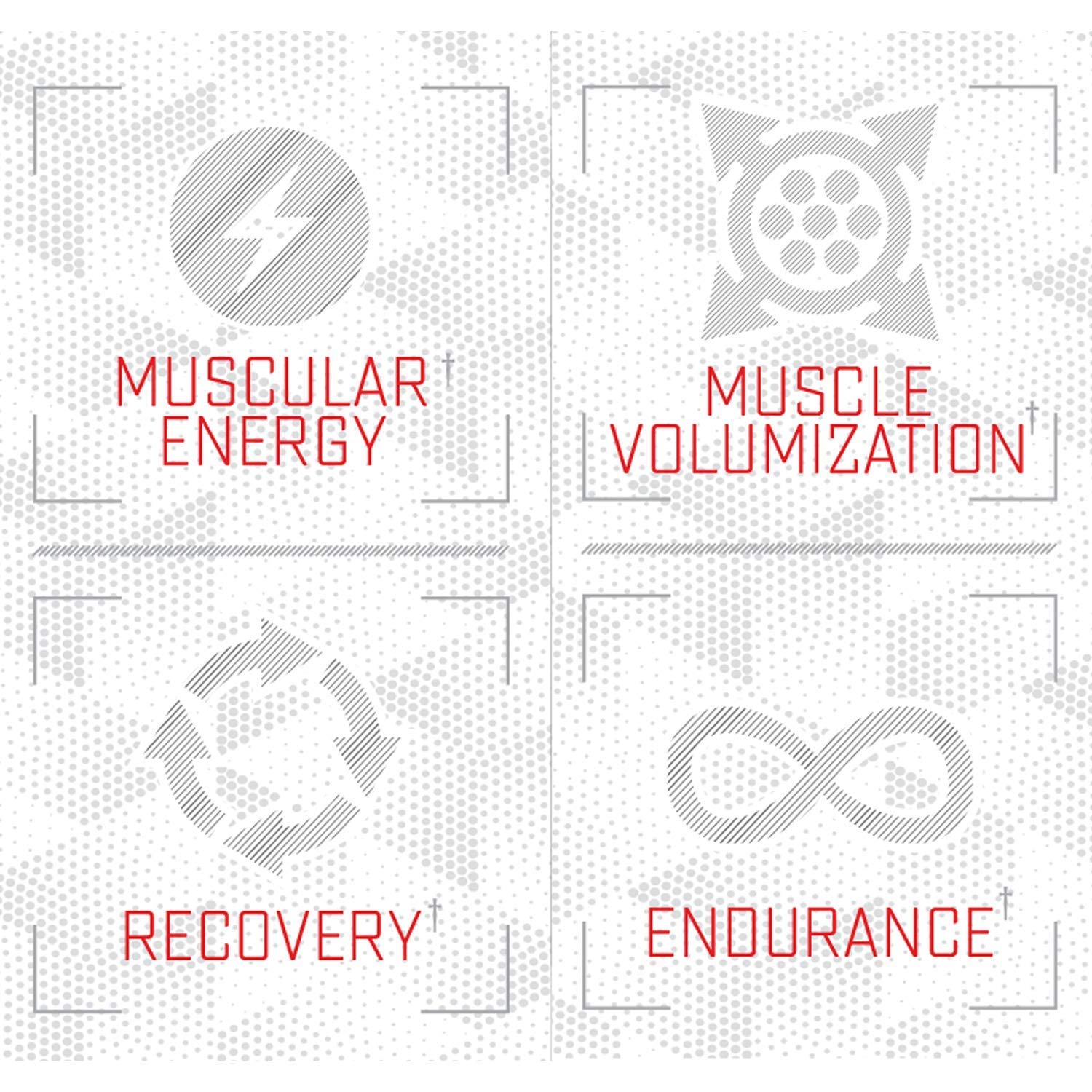 Purus Labs Foundation Series Citrulline Malate Powder | Active Amino Acid L-Citrulline Purus Labs Au supplements