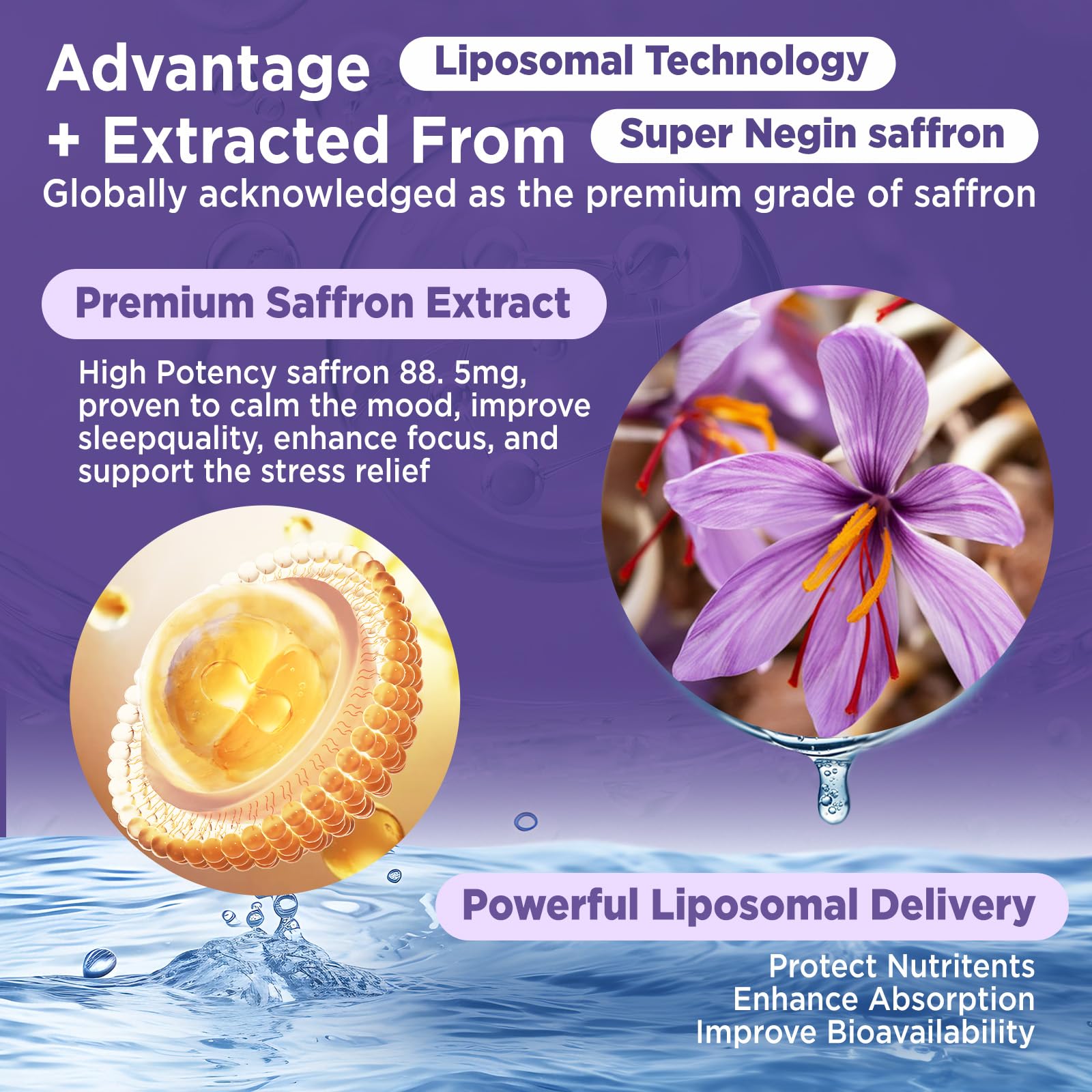 HOLLEGEND Liposomal Saffron Drops for Kids & Adults, Organic Saffron Supplement w/Magnesium, L-Theanine and Vitamins for Stress, Focus, Vision and Energy Support, Vegan, Natural Lemon Flavor, 2 FL OZ HOLLEGEND Au supplements