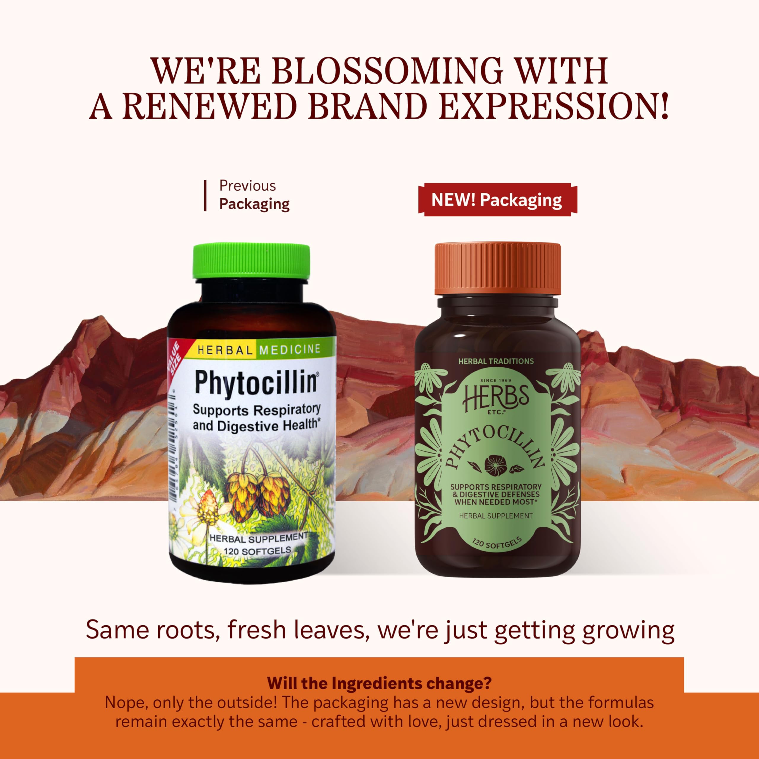Herbs Etc. Phytocillin - Respiratory & Digestive Health Support Supplement - Herbal Formula to Support Digestion - Support Healthy Breathing - 120 Softgels (120 Servings) Herbs Etc. Au supplements