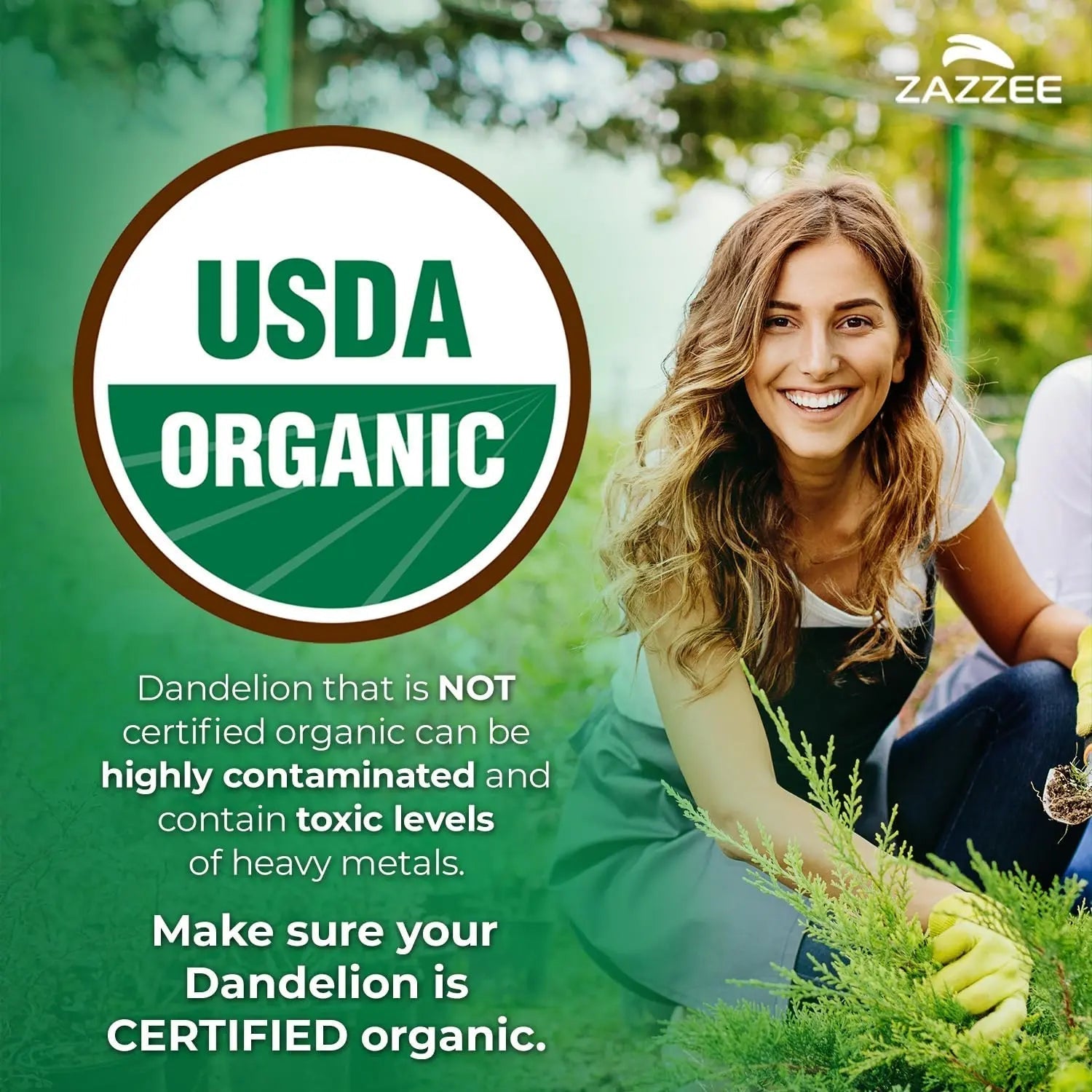 Zazzee Urinary Tract Cleanse & Detox Bundle | USDA Organic Dandelion Root Extract Capsules Plus D-Mannose 1000mg Capsules for UT & Bladder Cleansing Zazzee Au supplements