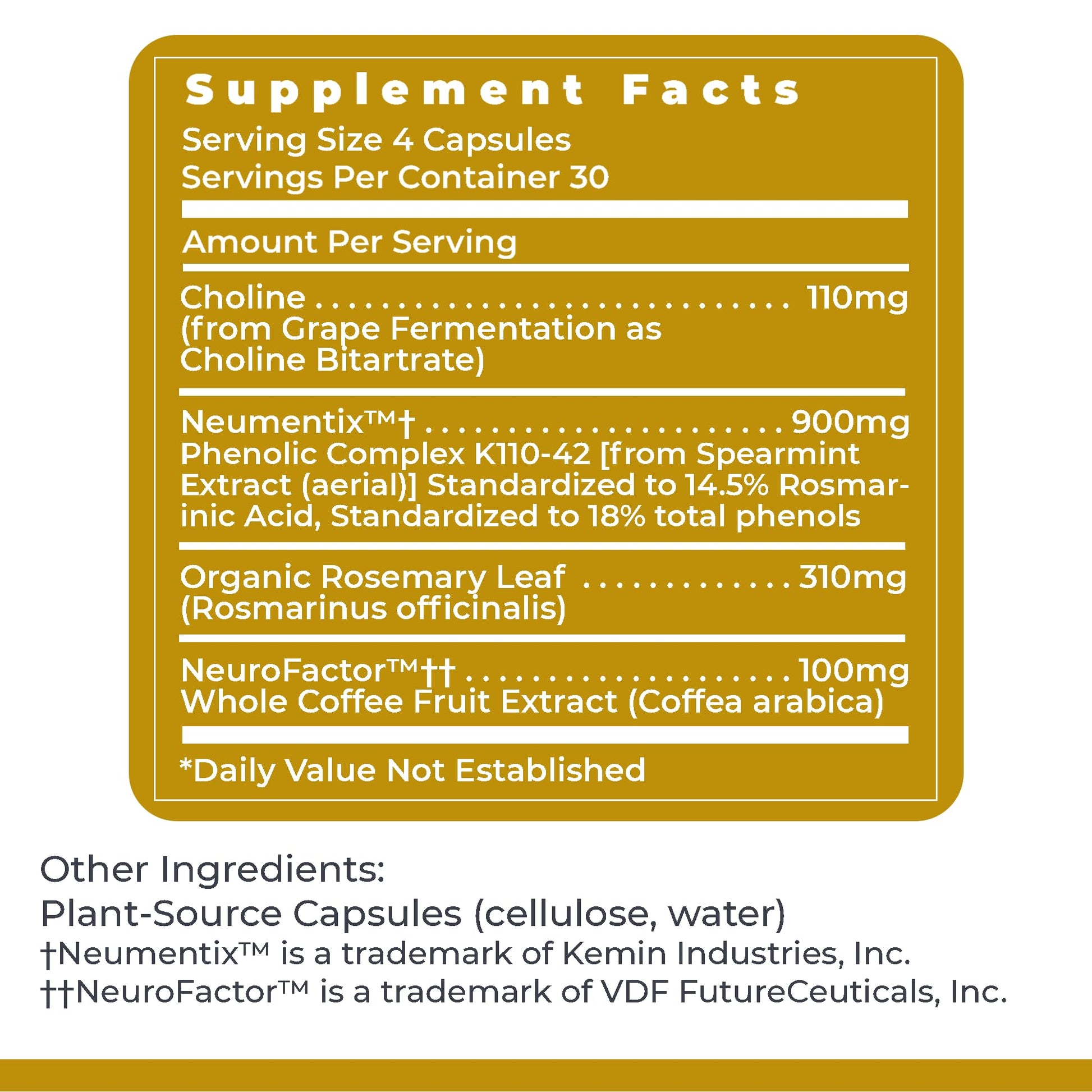 Premier Research Labs Cognitropic - Brain Supplements for Memory and Focus, Focus Supplement, Brain and Memory Power Boost, Clarity Vitamins for Brain, Memory Support - 120 Vegetarian Capsules Premier Research Labs Au supplements