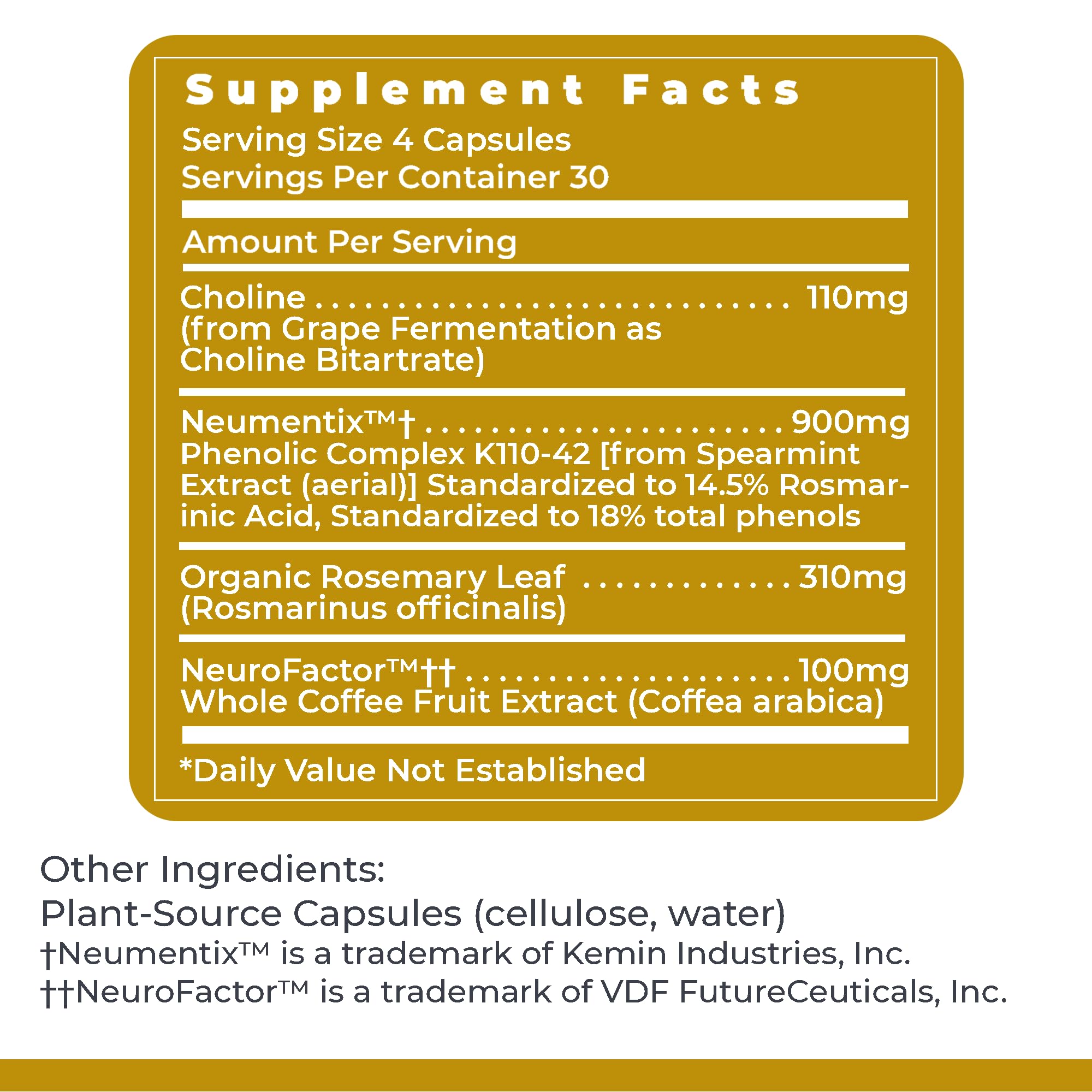 Premier Research Labs Cognitropic - Brain Supplements for Memory and Focus, Focus Supplement, Brain and Memory Power Boost, Clarity Vitamins for Brain, Memory Support - 120 Vegetarian Capsules Premier Research Labs Au supplements